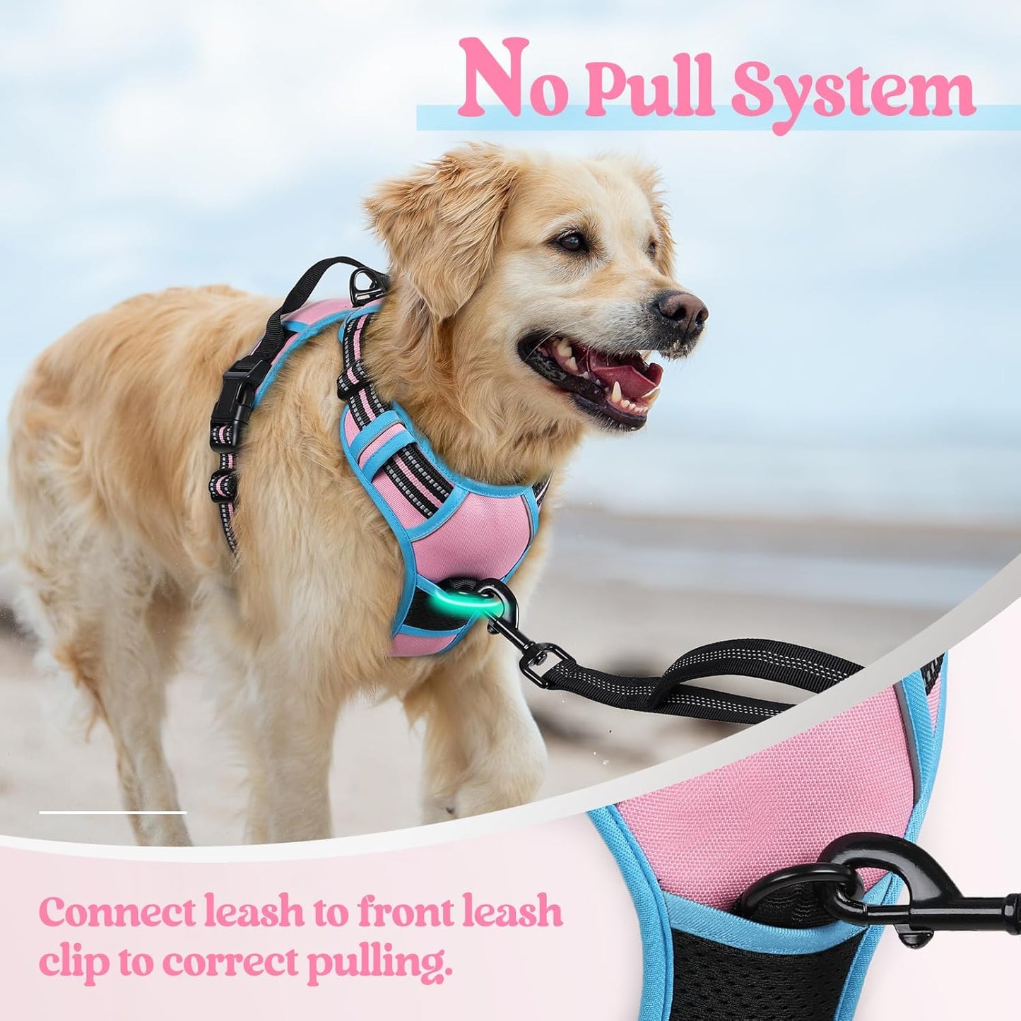 rabbitgoo Dog Harness No Pull with 2 Leash Clips, Adjustable Soft Padded, Reflective Oxford No Choke Pet Vest with Easy Control Handle for Large Dogs, Pink & Blue, L