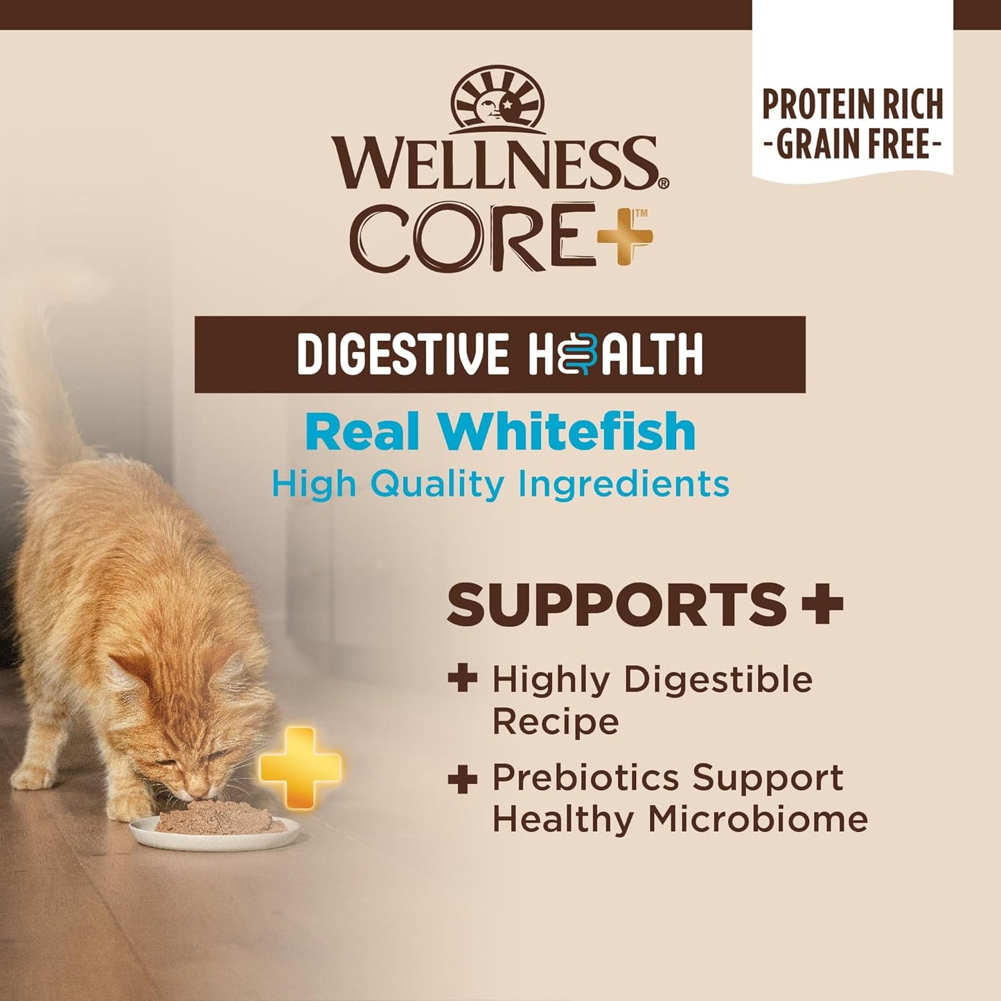 Wellness CORE+ Digestive Health Pate Adult Wet Cat Food, Natural, Protein-Rich, Grain Free, 3 Ounce, 12 Pack (Whitefish)