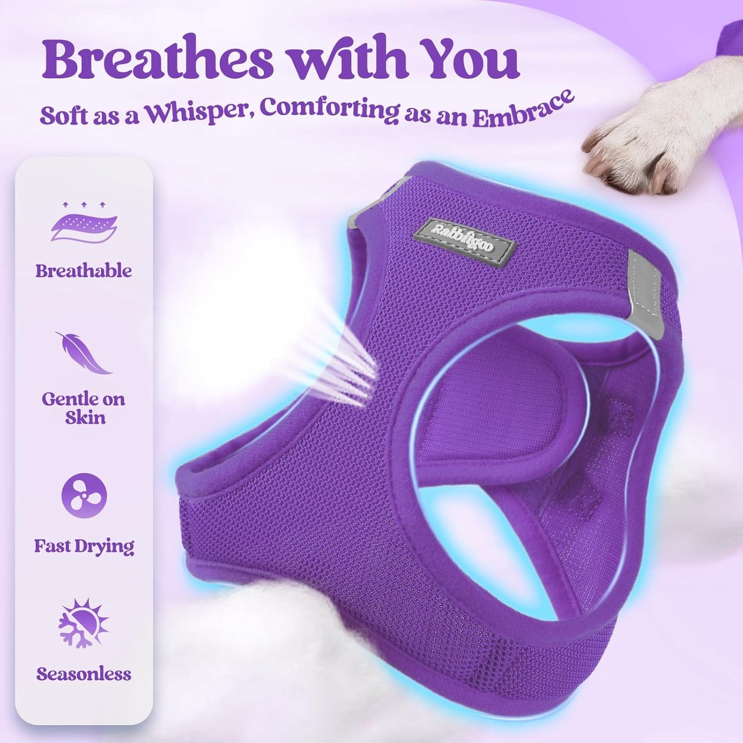 rabbitgoo Dog Harness Small Sized and Leash Set, Step in Soft Light Puppy Vest, Breathable Mesh Pet Harness, Reflective for Outdoor Safe Walking, Purple XXL