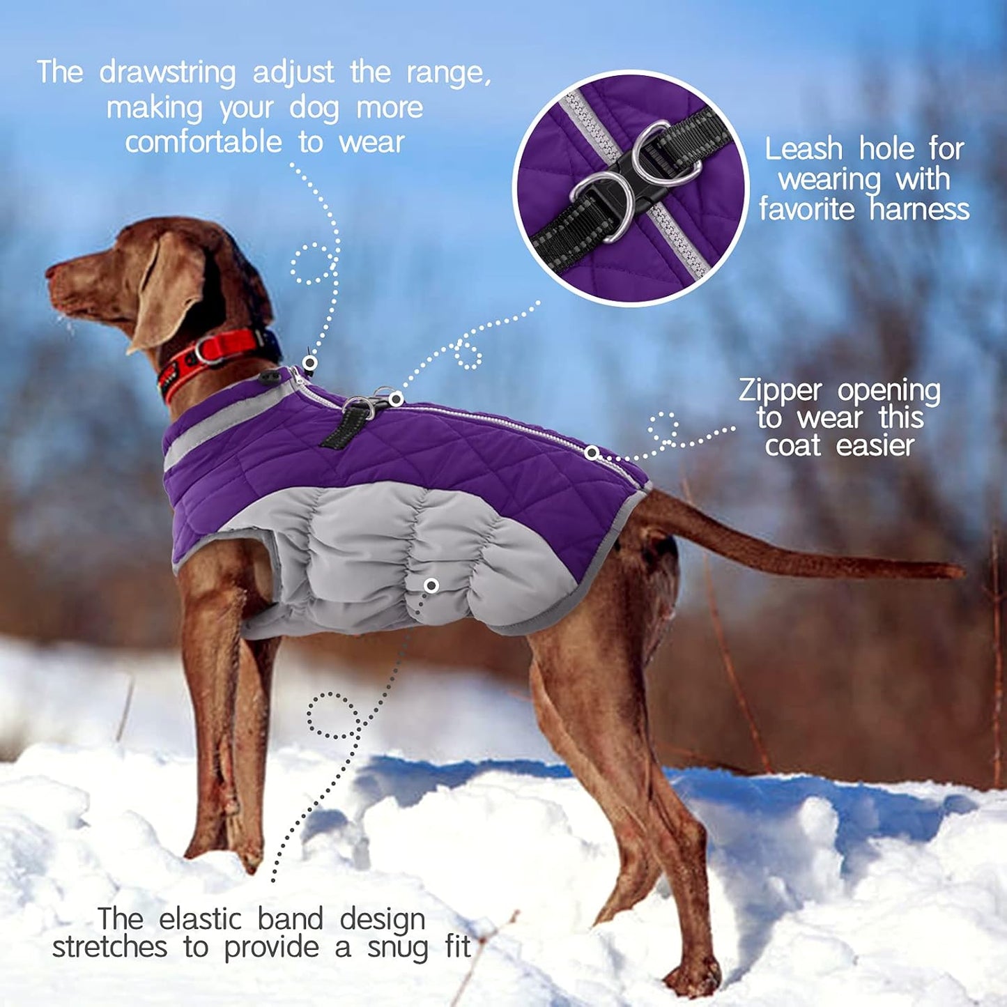 FUAMEY Dog Coat for Small Dogs,Waterproof Dog Winter Jacket with Harness Built in Puppy Cold Weather Coats Reflective Pet Vest with Zipper Warm Fleece Dogs Snowsuit Windproof Purple S
