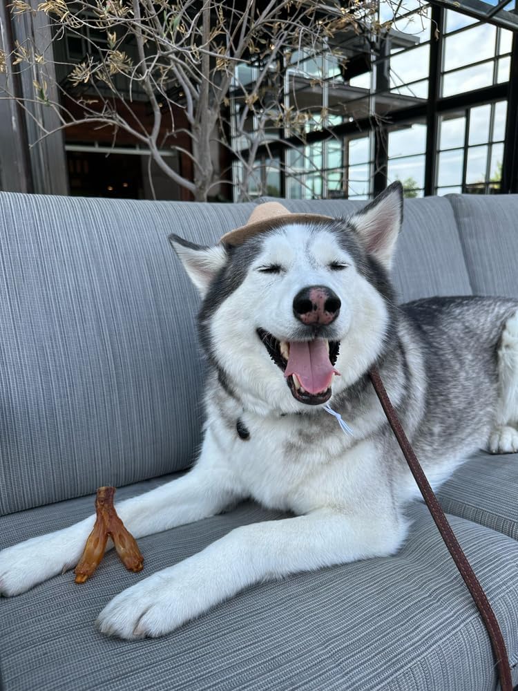 Pupford Thick Beef Tendon Chews for Dogs & Puppies, All-Natural Dog Chew with Glucosamine for Joint Health, Long-Lasting Toy, Great for Teething (3 Count)