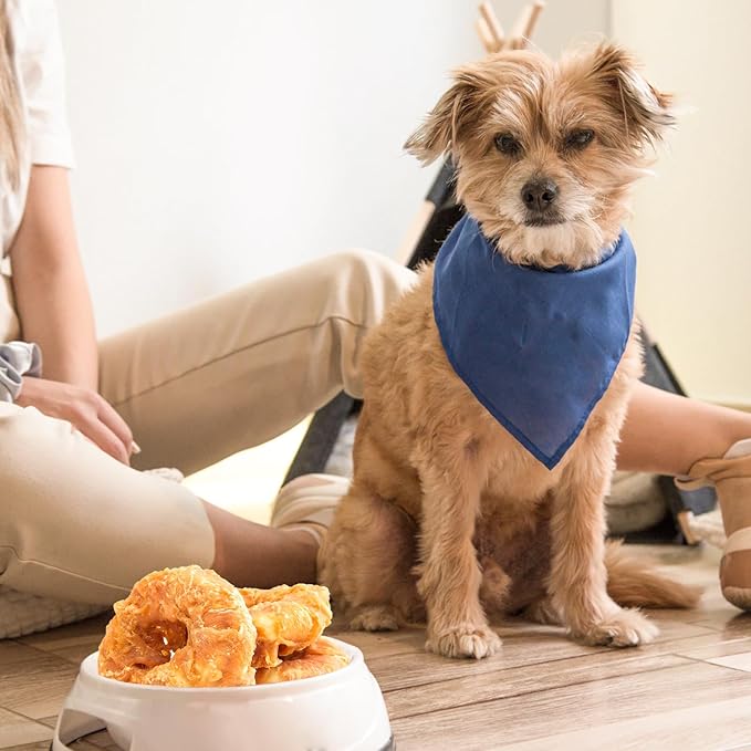 Jungle Calling Dog Treats Long Lasting, Rawhide Chews for Dogs, Chicken Wrapped Rawhide Donuts, Chewy Snacks for Medium Large Dogs