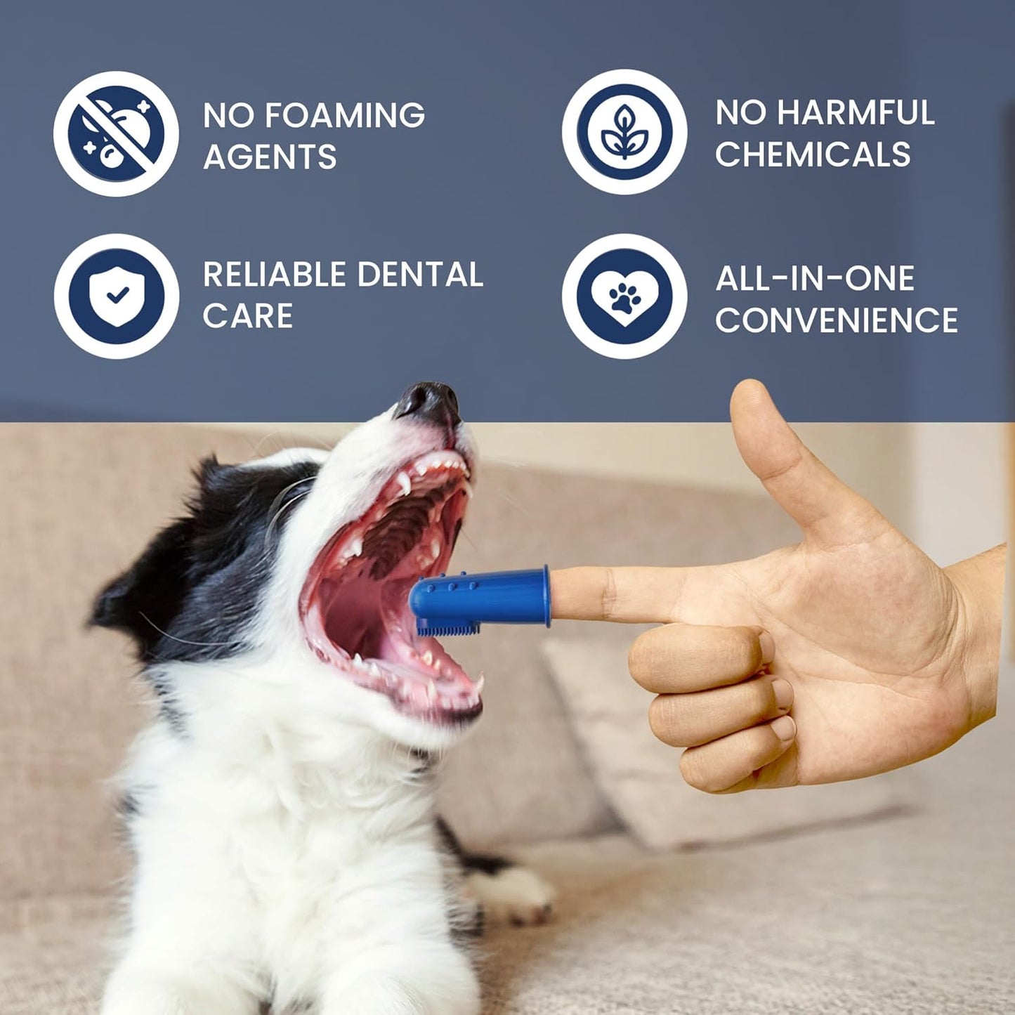 Rad Health Dental Kit - Dog Toothbrush and Toothpaste Kit for Daily Oral Care, Dual Brushes for Deep Cleaning, Safe for Cats & Dogs, Reduces Bad Breath, Prevents Gum Disease