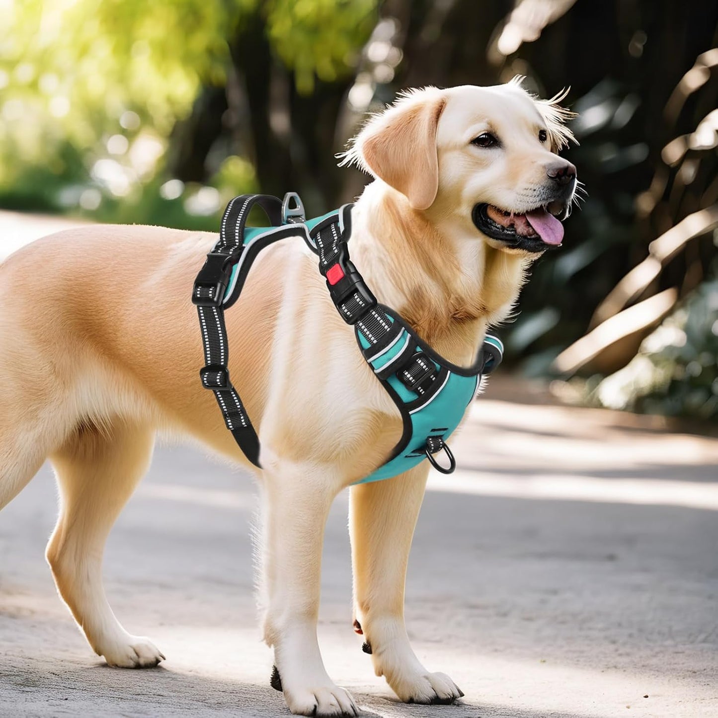 Timos Dog Harness, No-Pull Pet Harness with 2 Leash Clips, 3 Snap Buckles Adjustable Soft Padded Dog Vest, Reflective No-Choke Pet Oxford Vest with Easy Control Handle for Small Medium Large Dogs