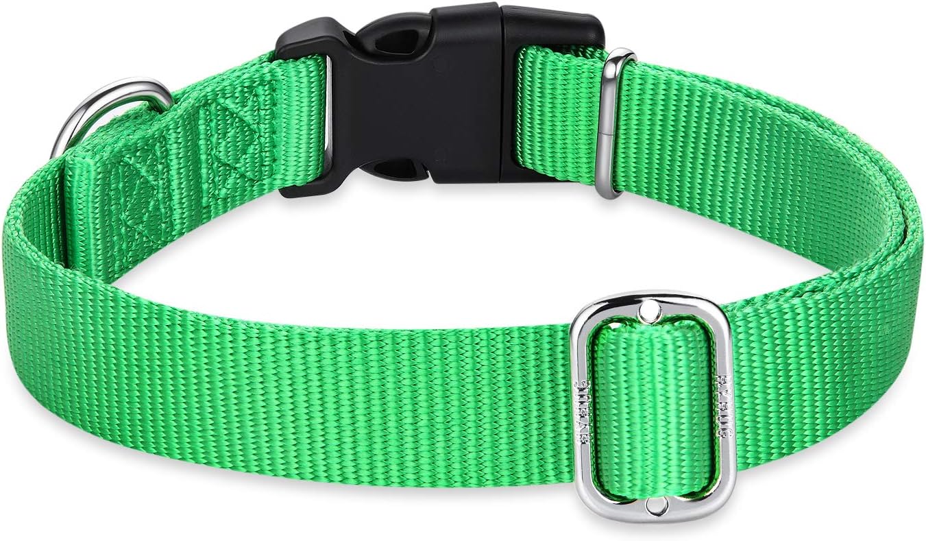 Hyhug Pets Classic Regular Heavy Duty Nylon Dog Collar with Easy Attach and Removal Buckle. (Medium, Lime Green)