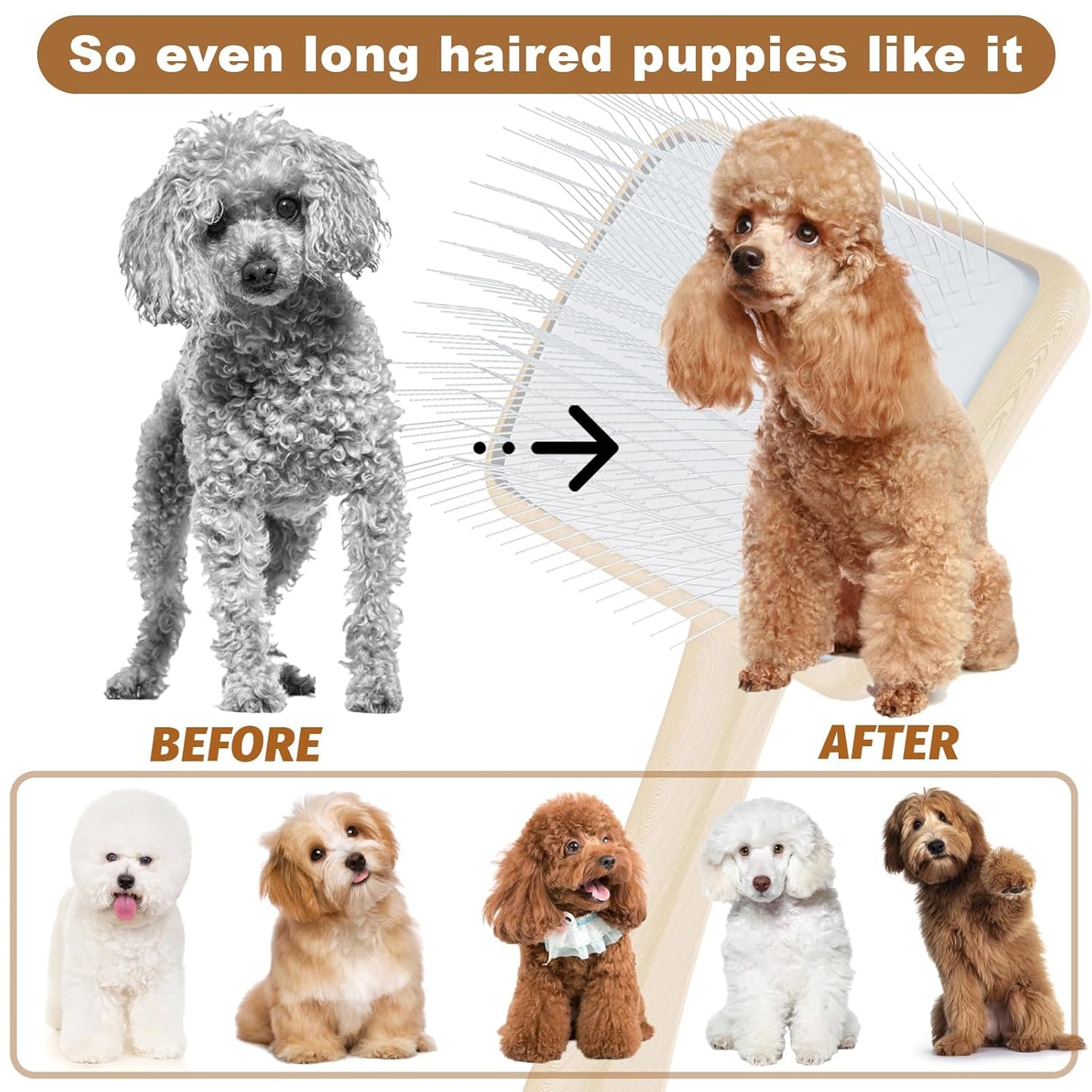 Slicker Brush for Dog, Doodles and Poodle Brush, for Tangles, Fluff Coat, Curly Hair Pets, Remove Loose Fur, Matts, Undercoat, Double Coat, 24mm Pins, 3.5''*2.4'' Head, Medium Size, Wood