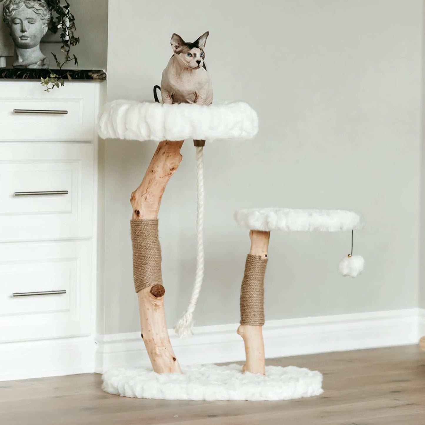 Mau Lifestyle Luxury Cat Tree: Modern Cat Condo & Luxury Wood Cat Tower; Natural Branch Scratching Tree & Cat Condo; Cat Gifts by Mau