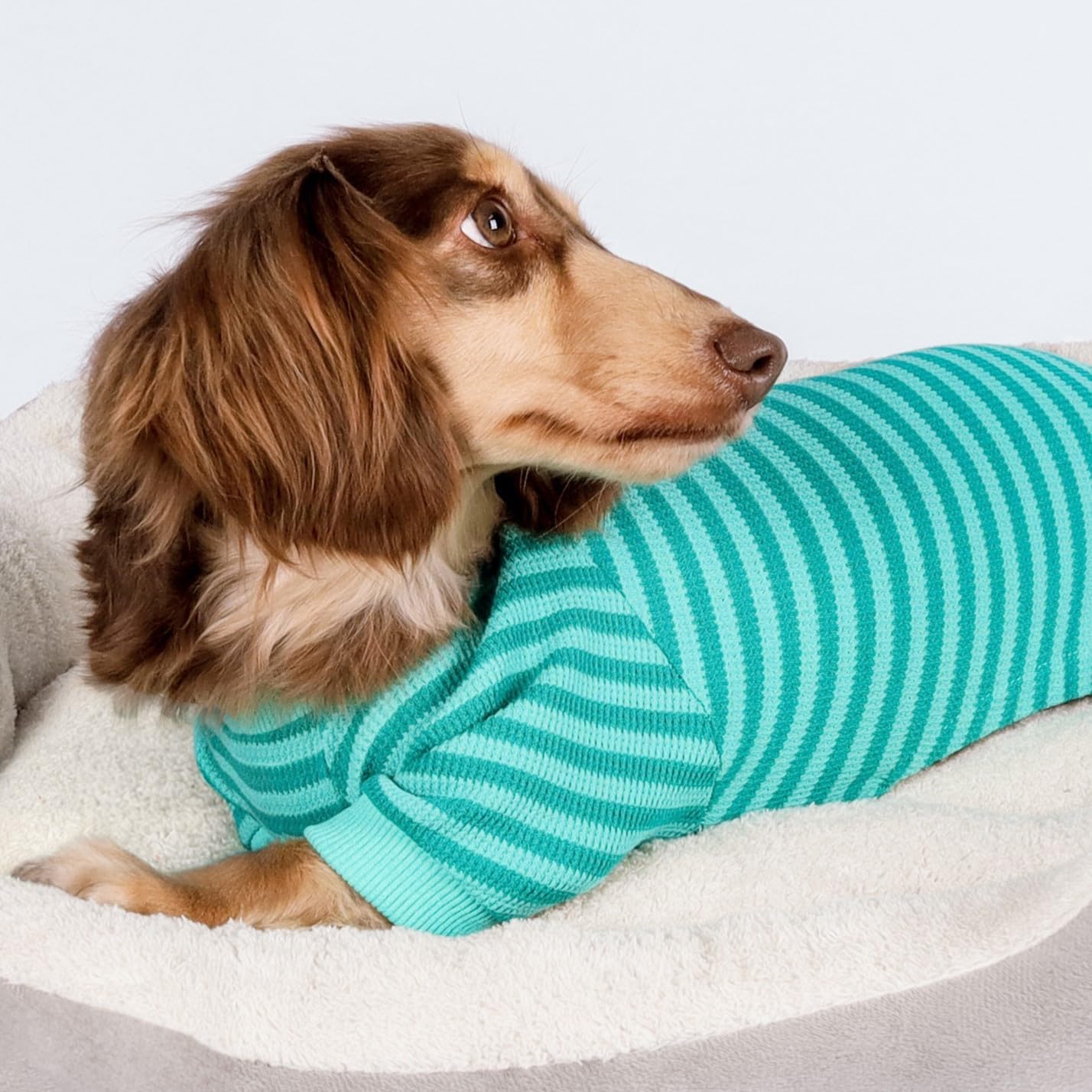 Fitwarm Green and Teal Striped Dog Pajamas, Waffle Dog Clothes for Small Dogs Girl Boy, Puppy Onesie with Feet, Pet Cat Outfit, Large