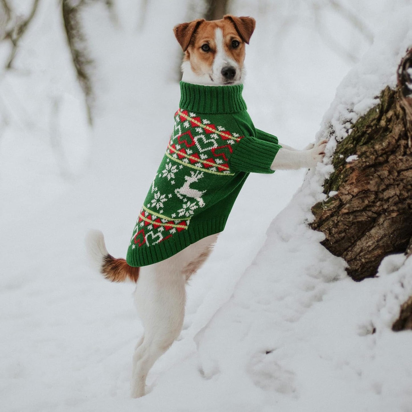 Queenmore Dog Christmas Sweater,Turtleneck Knitted Pullover Xmas Dog Clothes Sweatshirt,Pet Christmas Outfit, Warm Doggy Sweaters for Small Dogs Boy Girl S