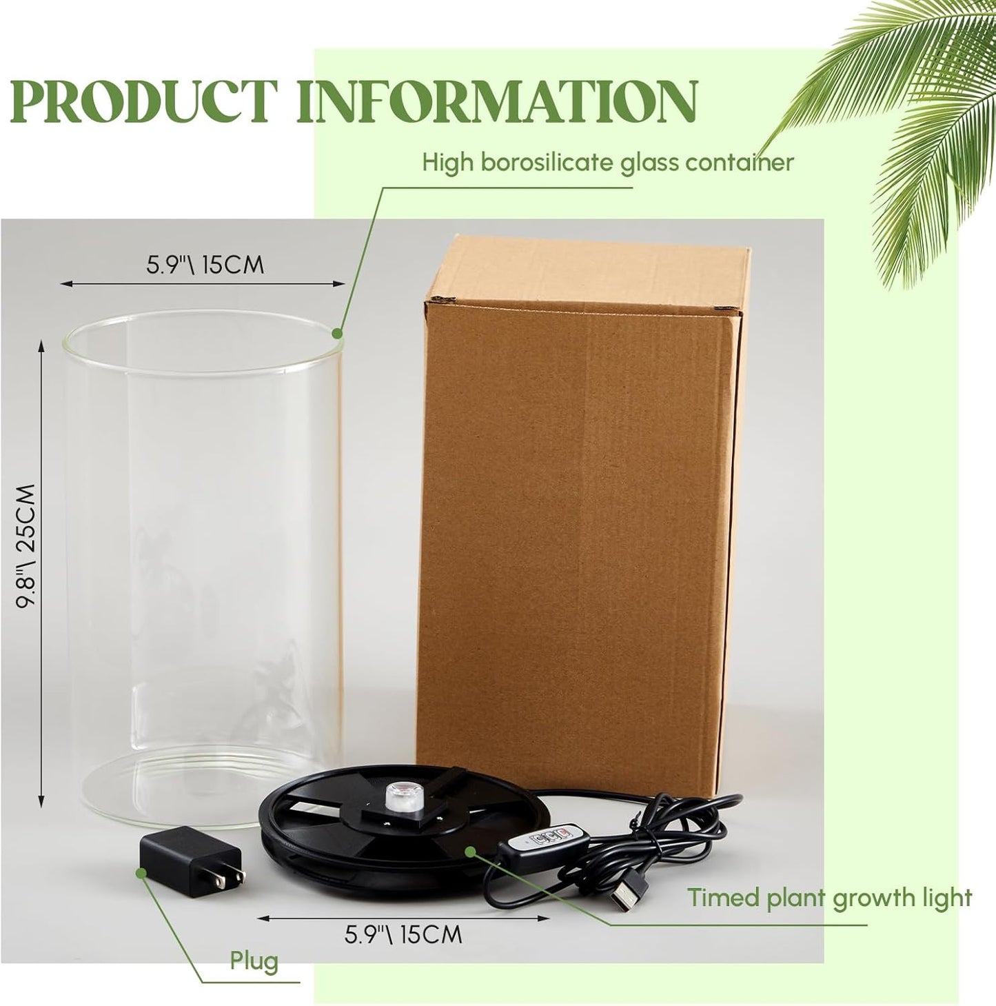 Maxdot Glass Plant Terrarium Kit with Light for Succulent, Moss, Miniature Gardening Landscape, Betta Fish Tank, Office Home Decoration, Plant Lovers Gifts(9.8 x 5.9 Inch)