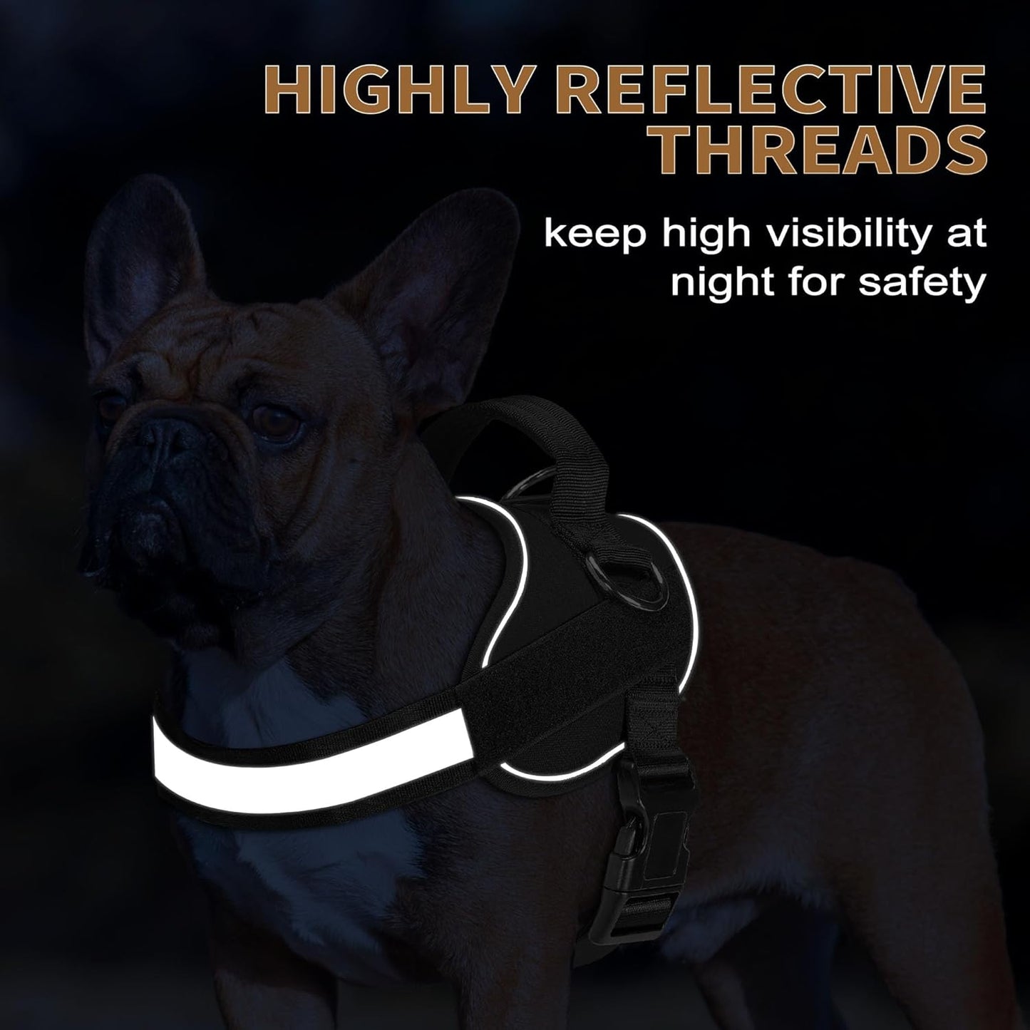 Haapaw Essential Dog Harness, No Pull Pet Vest with 3 Leash Clips, No Choke, Reflective, Adjustable and Padded, for Easy Walking and Training for Medium Dogs(M, Black)