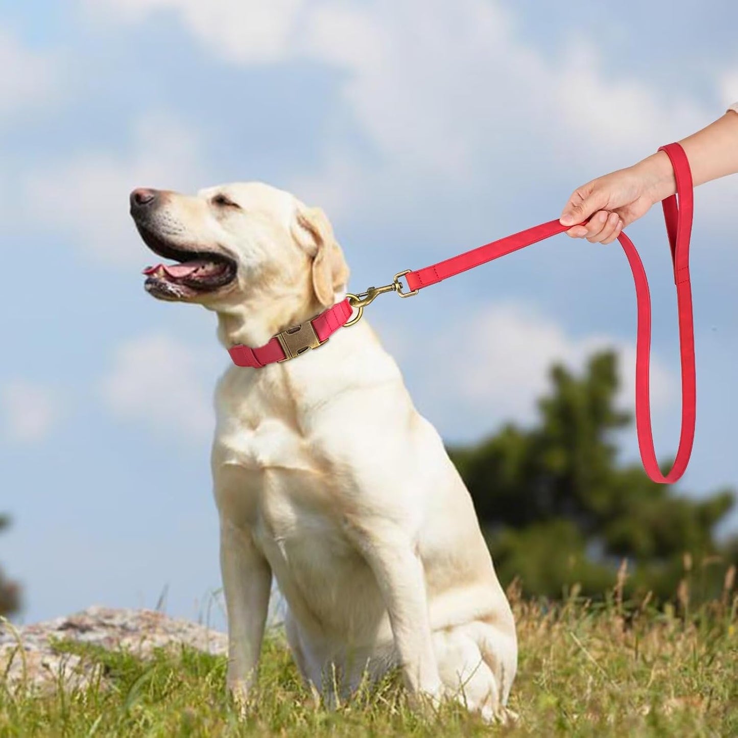 Didog Soft PU Leather Dog Collar, Stylish Quick Released Dog Collars for Large Dogs, Easy Clean Adjustable Pet Collar for Daily Walking, Red, XL Fit 17-27" Neck