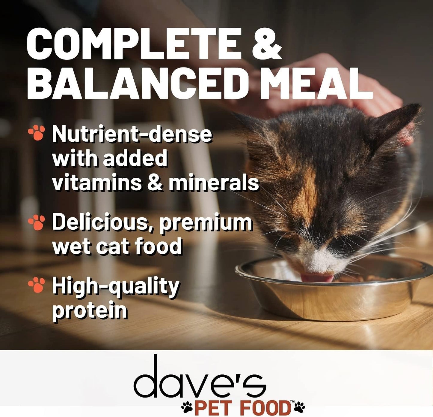 Dave's Pet Food Grain Free Wet Cat Food (Chicken & Turkey Saucey Pate), Naturally Healthy Canned Cat Food, Added Vitamins & Minerals, Wheat Free, 5.5 oz (24 Pack)