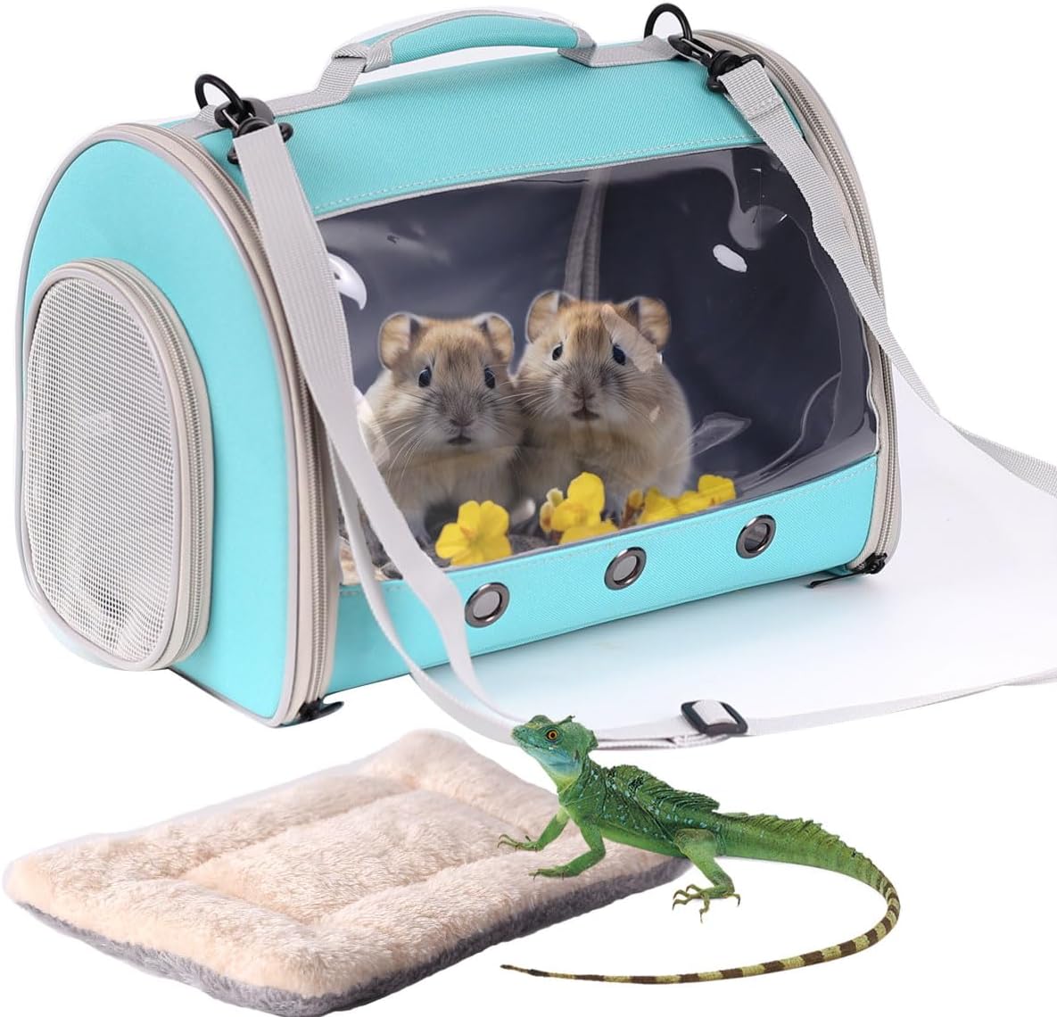 Bearded Dragon Travel Carrier Backpack,Lizard Backpack Carrier,Space Capsule Clear Bubble Window Astronaut Reptile Carrier Backpack for Guinea Pig,Sugar Glider,Bunny (Green, TPU Carrier+MAT)