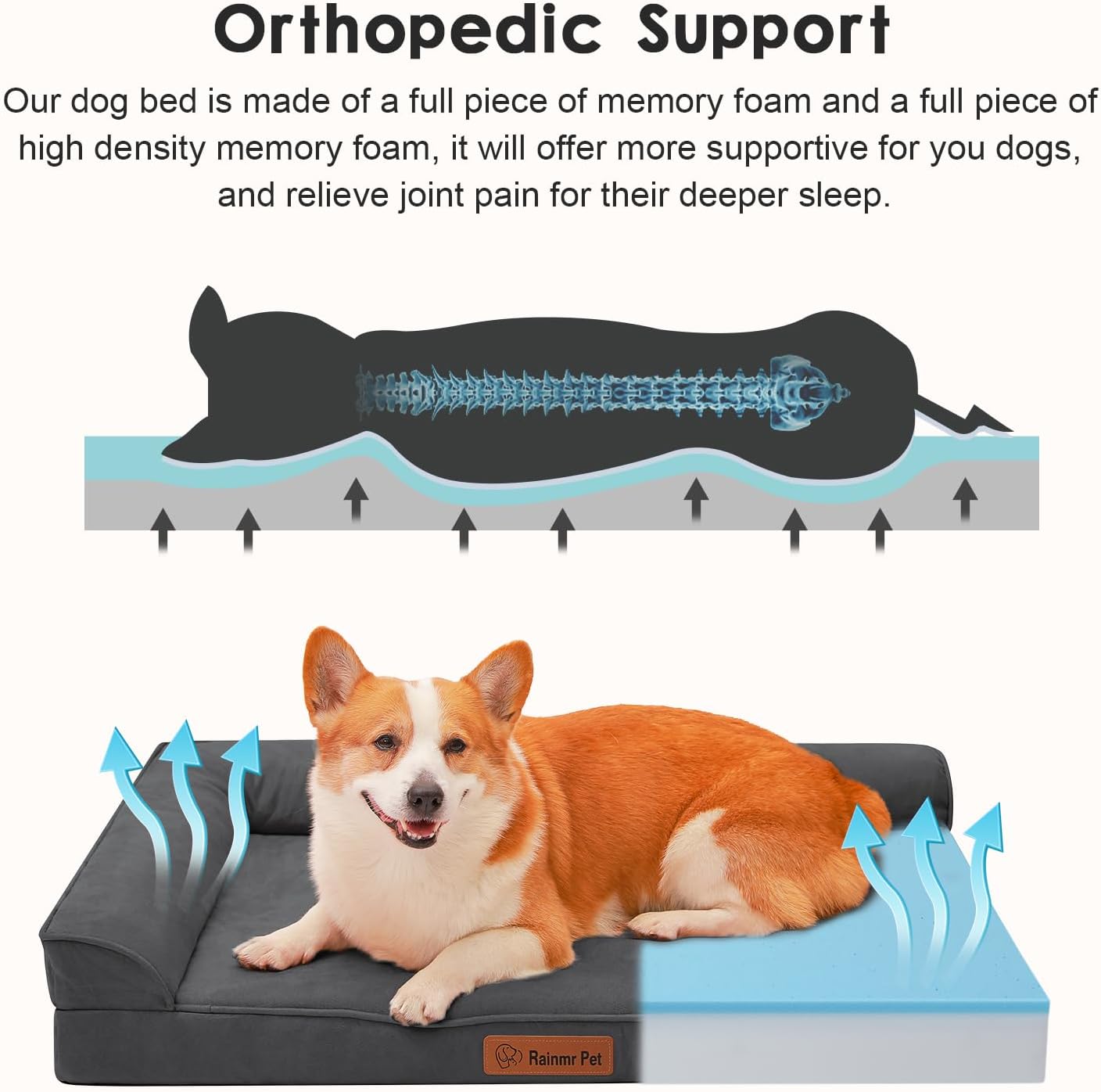 Upgraded Large Dog Bed, 3" Memory Foam with Waterproof Liner, Chew Resistant Microsuede Cover, Removable and Washable, for Indoor, Outdoor, and Car Use, Nonskid Base, 41x27 Inches XL Dark Grey