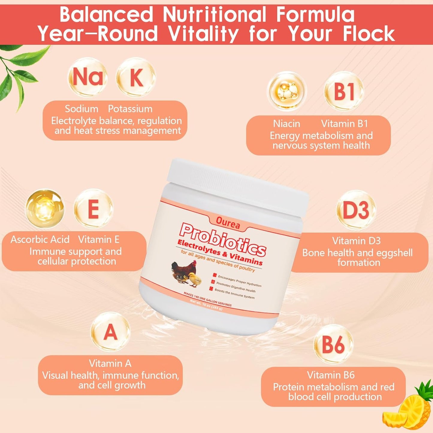 Chicken Electrolyte, Vitamin & Probiotic Supplement - Support Hydration Digestion Immunity Egg Production – Poultry Supplement for Chickens, Ducks, and All Ages of Birds – All-Season Use,10oz Powder