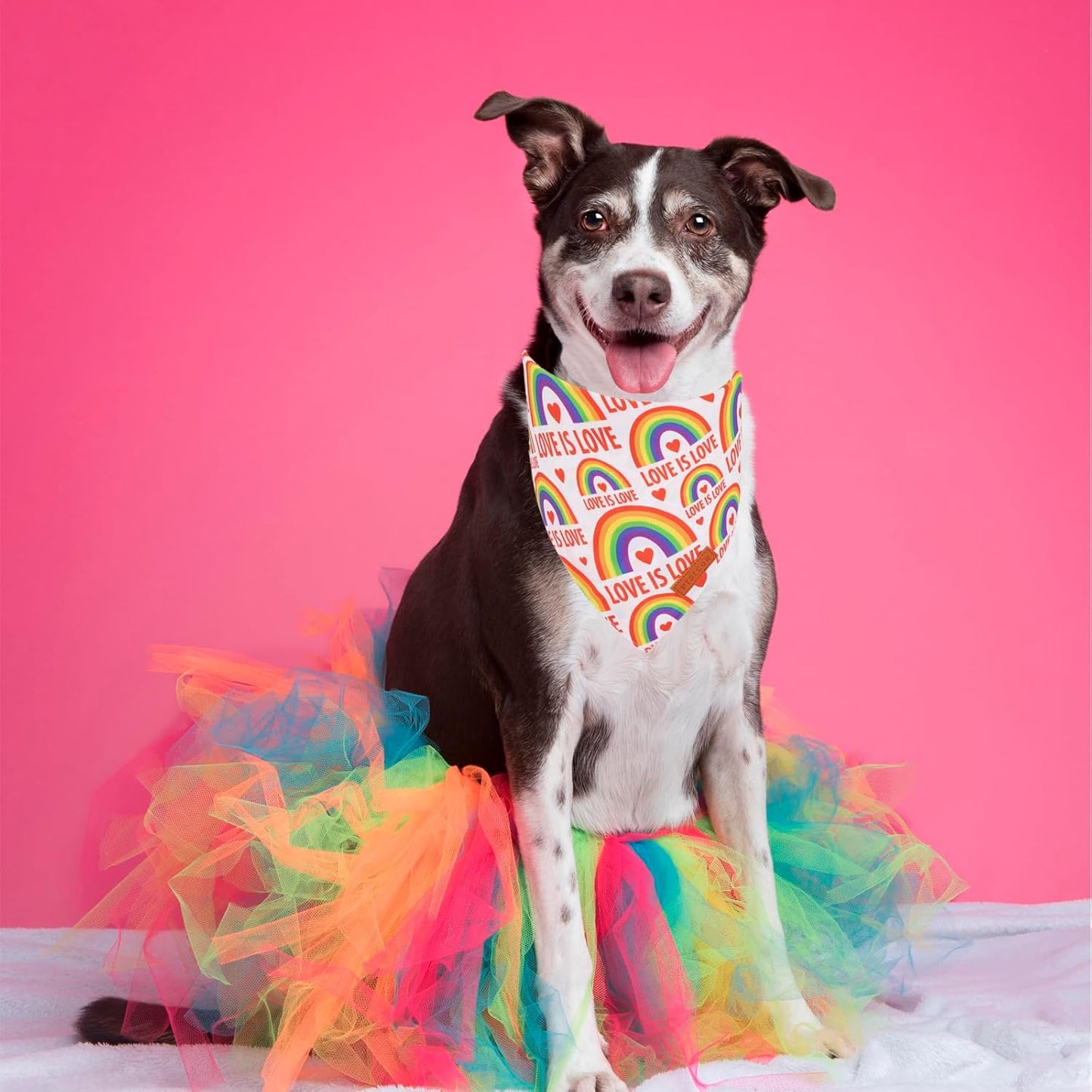 PTDECOR Rainbow Dog Bandanas Pride Day, Multi Size,“Love is Love” Pet Scarf Reversible Triangle LGBT+ Rainbow Bandanas for Small Dogs Pets (Small)