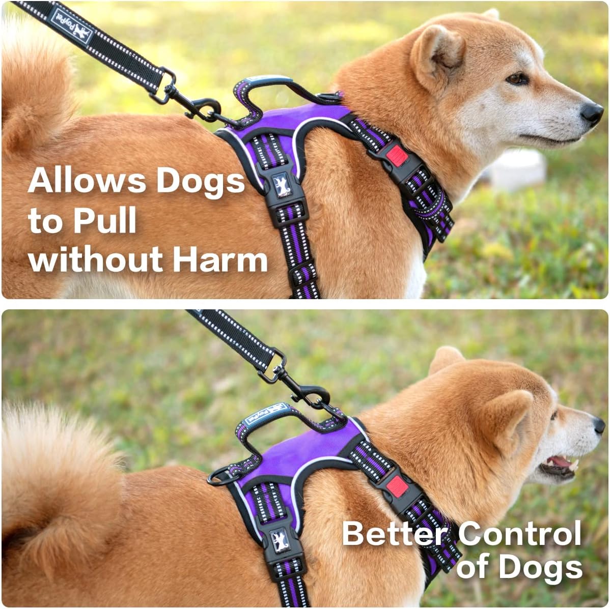 PoyPet No Pull Dog Harness, No Choke Front Clip Reflective Dog Vest with Soft Padded Vertical Handle, 3 Leash Attachments for Small Medium Large Dogs (Purple,L)