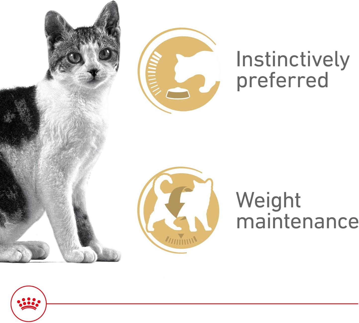 Royal Canin® Feline Health Nutrition™ Adult Instinctive Thin Slices In Gravy Canned Cat Food, 3 oz can (18-count)