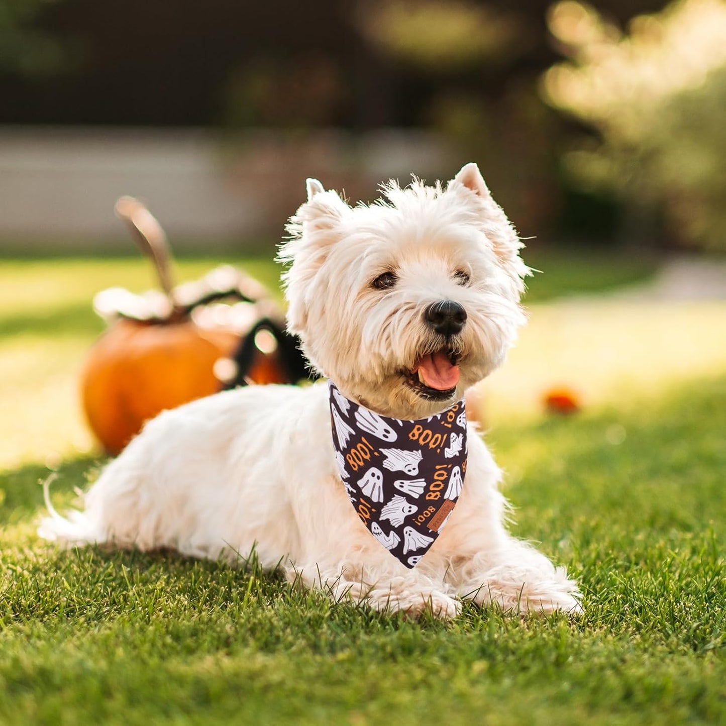 PTDECOR Halloween Dog Bandana, Reversible Holiday Pet Scarf, Multi Size, Triangle Puppy Halloween Bandanas for Small Dogs Puppies Cats (Black & Orange, Small)