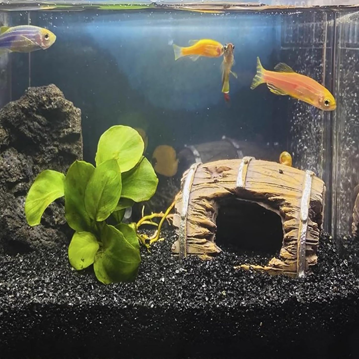 5 lbs Black AquariumSilica Sand. Decorative Aquarium Gravel Substrate for Fish Tank, Plants Potted, Fire Pits, Candle, Vase Filler and Crafts