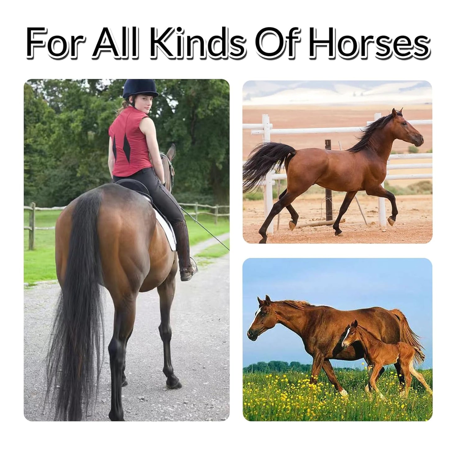 Horse Tail Extension with Braided Horsehair Loop, Blunt Cut Bottom, 3/8 lb, 28-30 inches (Medium gray)