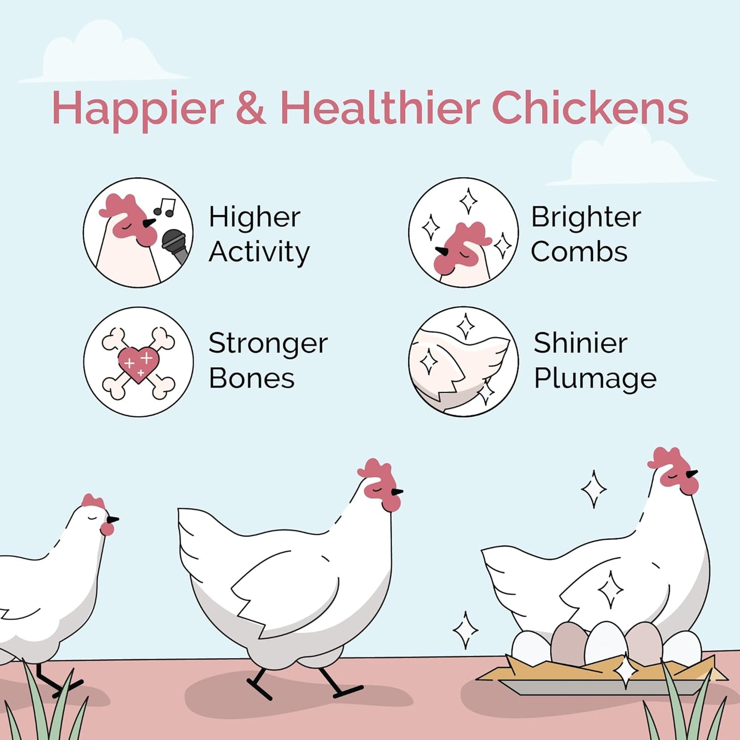 Organic Chicken Feed – Layer Whole Grain, Non-GMO, USA Grown, 16% Protein, Corn-Free, Soy-Free, Non-Medicated Feed for Chickens, 2 lb Sample