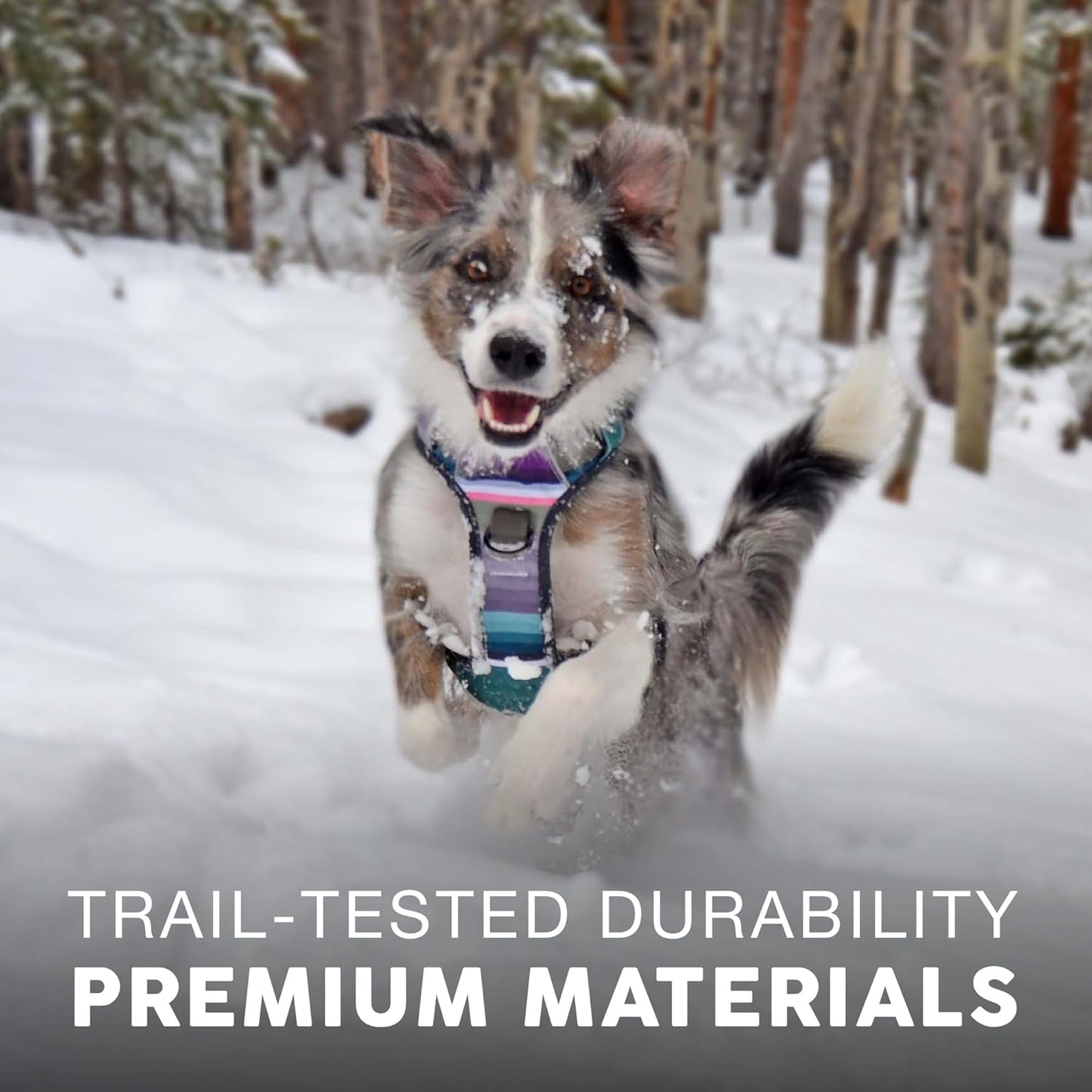 Embark Adventure Dog Harness, Reflective Trim No Pull Harness for Medium Sized Dog - Military Grade Nylon, Front Clip with Gel Lined Handle. Soft & Padded Puppy