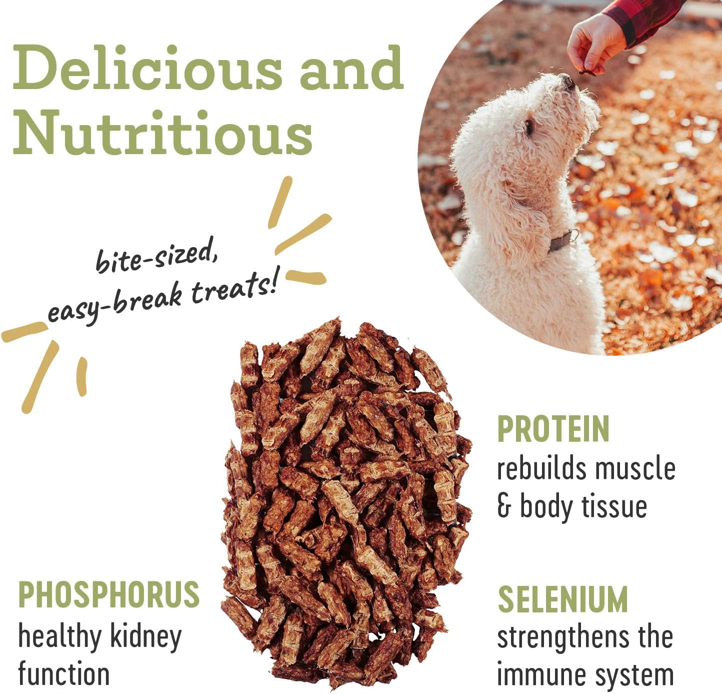 Farm Hounds - Duck Trainers - Premium Natural Jerky for Dogs - 100% Humanely Raised - Easy-Break - Great for Training & Treats - No Added Fillers - Made in USA - 4.5 oz - 1 Pack