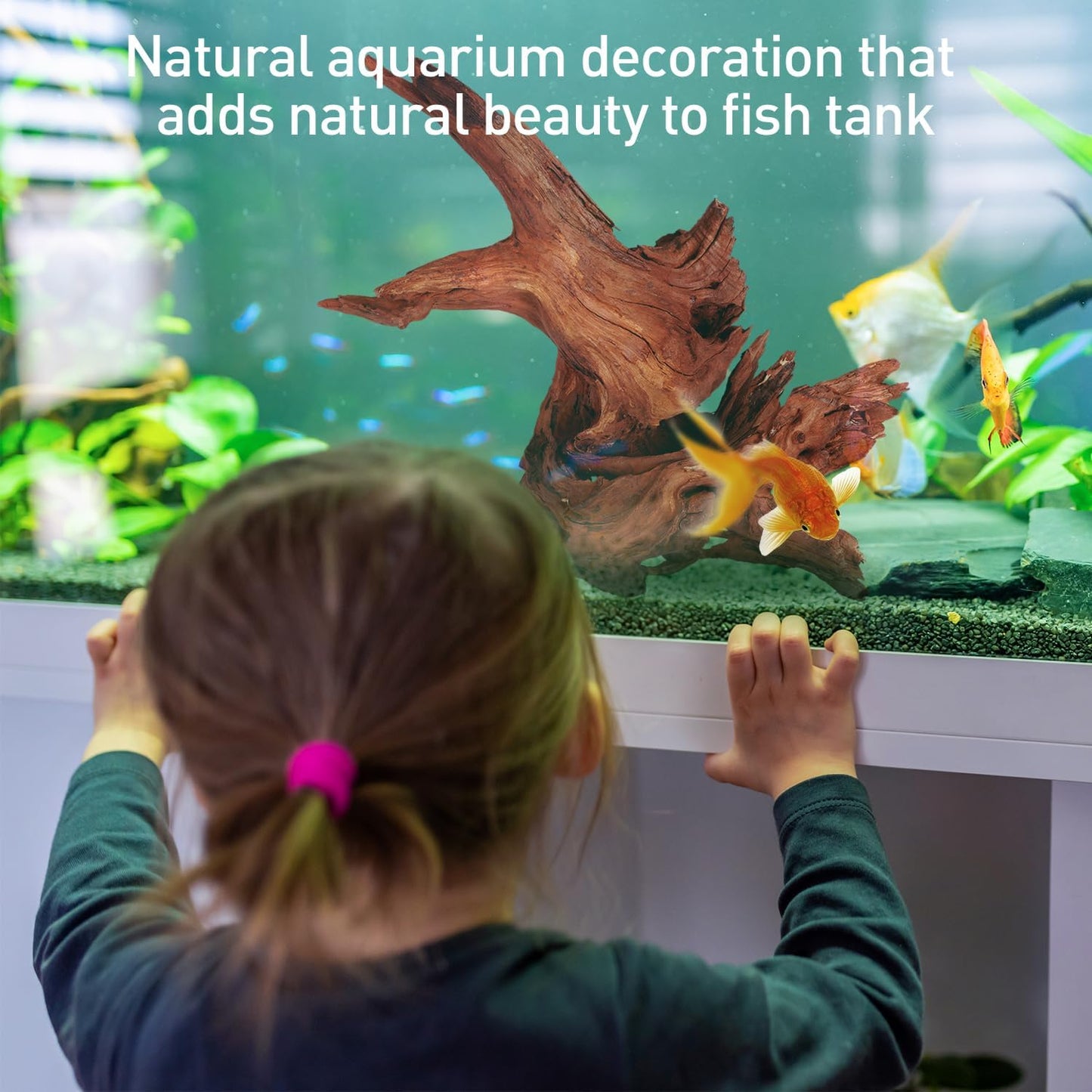 WDEFUN Natural Extral Large Driftwood for Aquarium Decor, 2-Piece 14''-18'' Driftwood for Decorations on Fish Tank, Reptiles Bearded Dragon Accessories or Air Plants