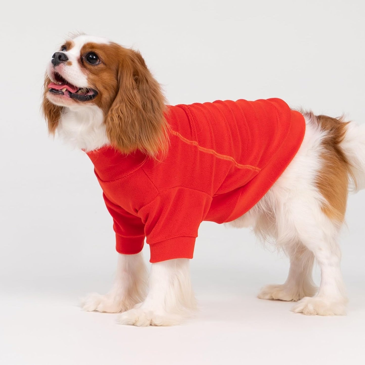 Fitwarm 3 Pack Classic Fleece Dog Sweater, Winter Clothes for Small Dogs Boy Girl, Turtleneck Dog Sweatshirt, Pet Apparel, Orange Red, Royal Blue, Neon Yellow, XL