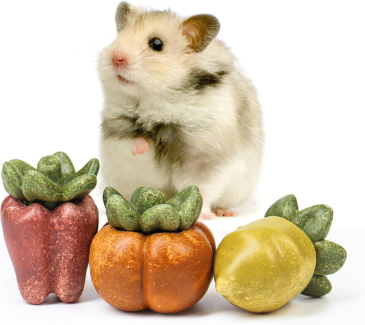 TEEWY Guinea Pig Chew Toys, Natural Vegetables and Timothy Grass, Hamster Chew Toys, Prevents Excessive Tooth Growth in Chinchillas, Gerbils, Hamsters, and Rabbits, Fruits & Vegetables Set