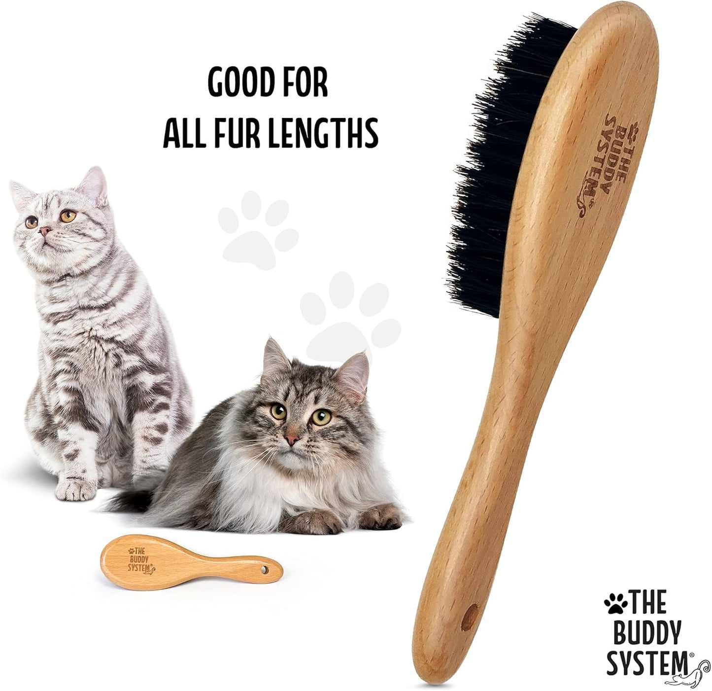 The Buddy System Cat Brush with Boar Bristle and Wooden Handle, Professional Grade Daily Grooming Hairbrush, Reduce Shedding, Soft Hair and Healthy Shine (1 Pack)