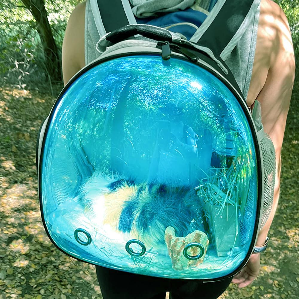 Bearded Dragon Travel Carrier Backpack with Soft Warm Mat Set,Lizard Backpack Carrier,Space Capsule Clear Bubble Window Astronaut Reptile Carrier Backpack for Guinea Pig,Sugar Glider,Bunny