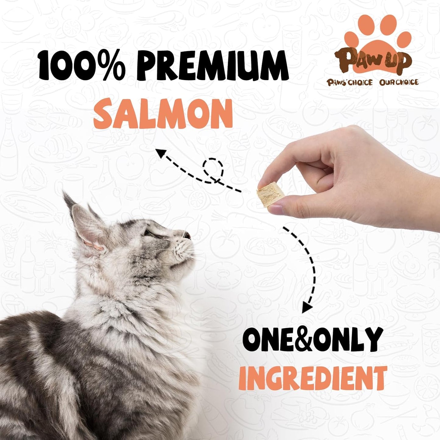 Freeze Dried Salmon Cat Treats, Single Ingredient Raw Cat Food Toppers, Healthy Training Treats for Dogs, Cats, 3.8 oz