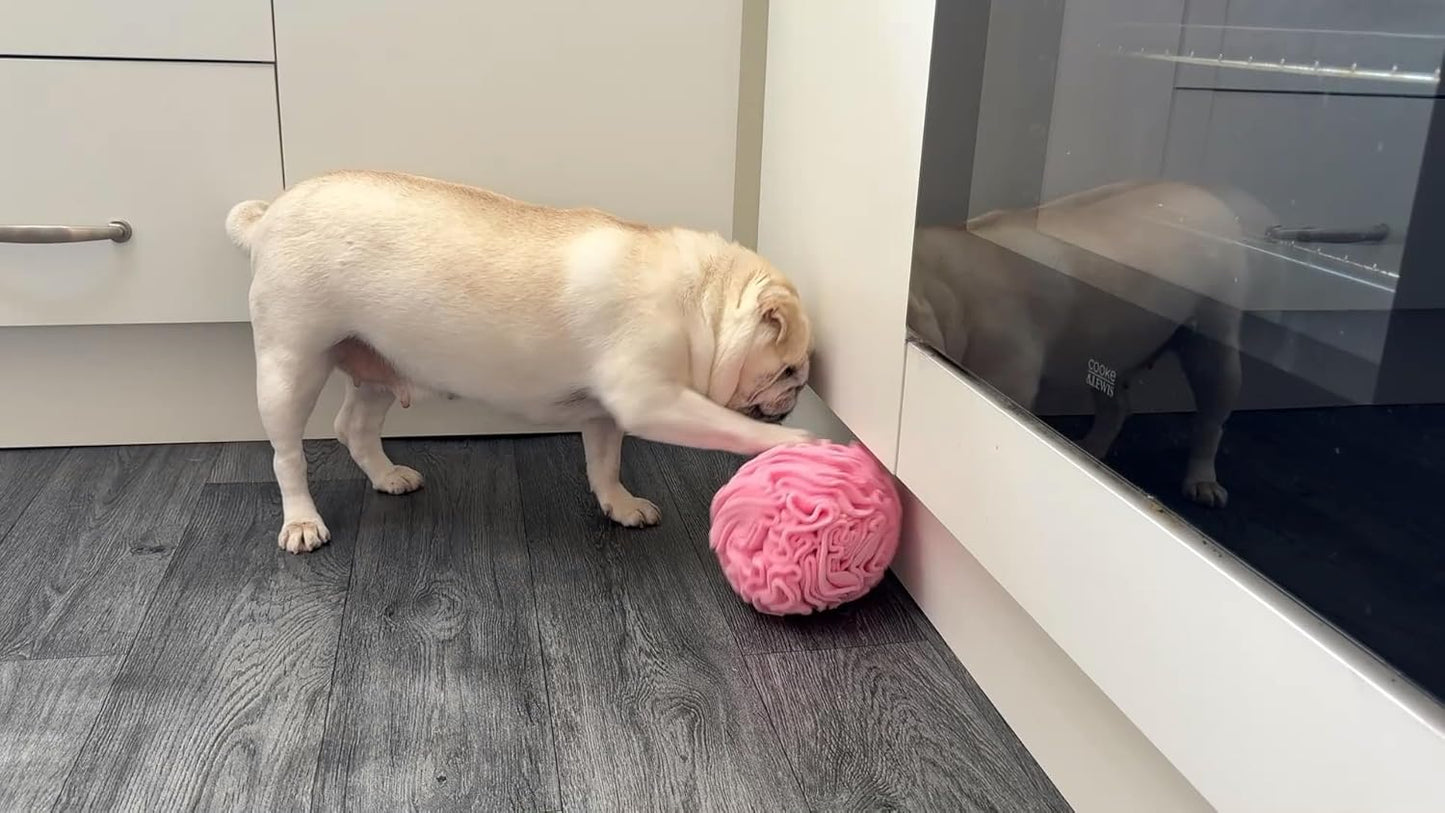 Glory To Dog Medium Breed Snuffle Interactive Foraging Dog Puzzle Ball Toy Pink Large
