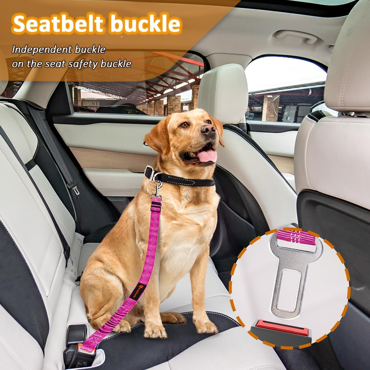 Removable Dog Seat Belt Harness for Car, 3 in 1 Pet Dog Car Seatbelt Leash, Retractable Restraint Secures to Vehicle Headrest & Adjustable Reflective Bungee Dog Seatbelt Tether, Rose