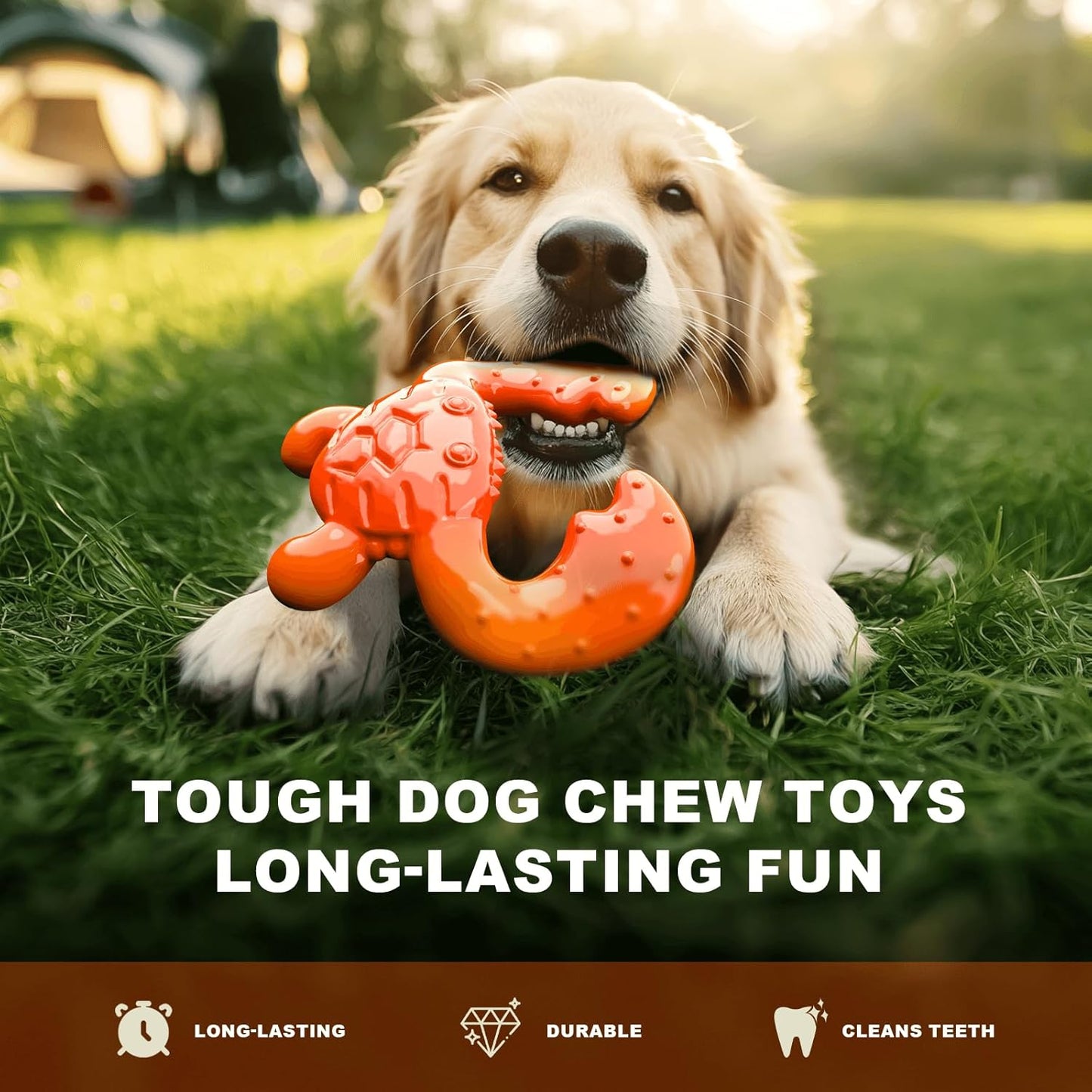 Dog Chew Toy for Aggressive Chewers – Durable Nylon Material, Tough Interactive Dog Toy for Large and Medium Dogs, Perfect for Teeth Cleaning and Gum Health, Christmas Birthday Gifts for Dogs