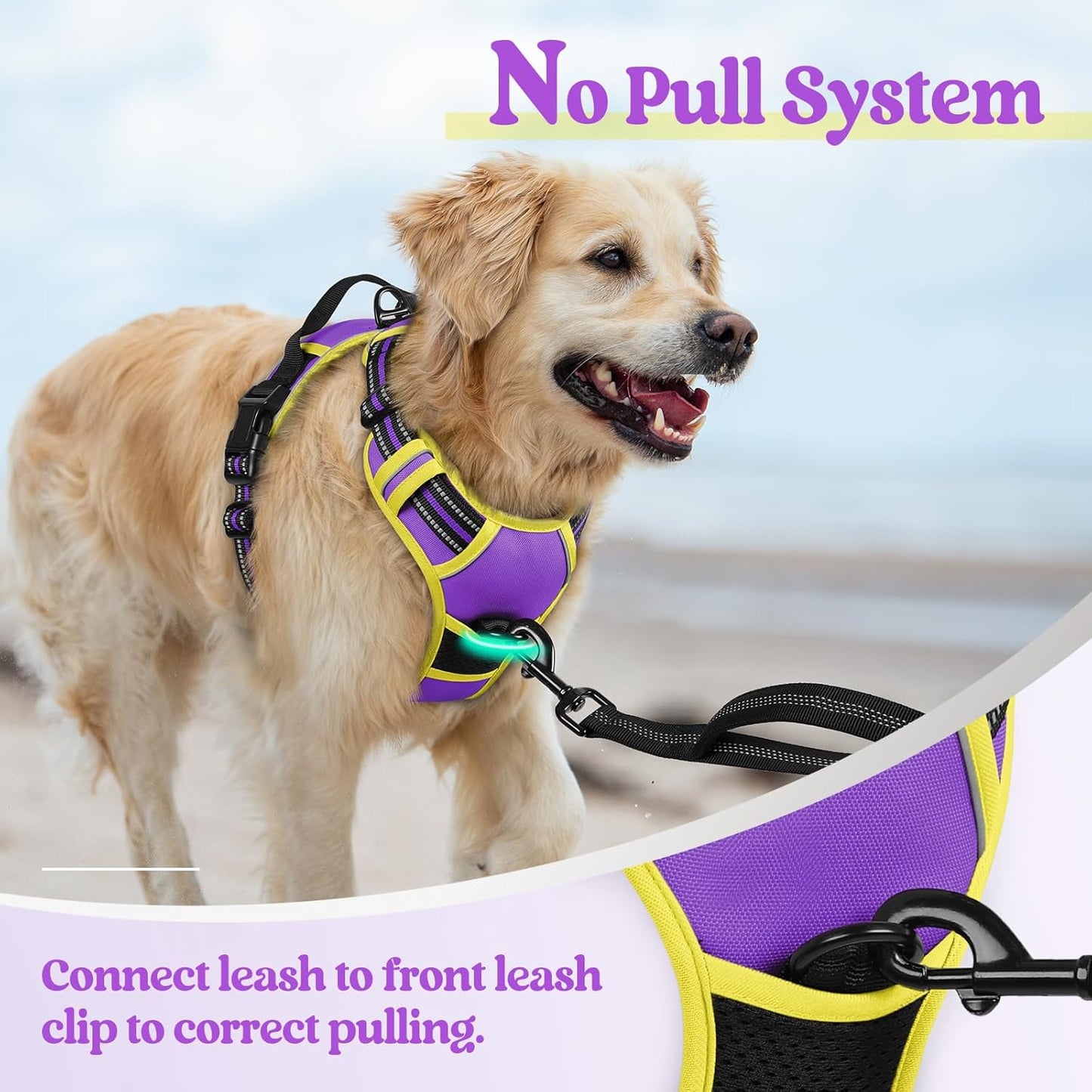 rabbitgoo Dog Harness No Pull with 2 Leash Clips, Adjustable Soft Padded, Reflective Oxford No Choke Pet Vest with Easy Control Handle for Small Dogs, Purple & Yellow, S