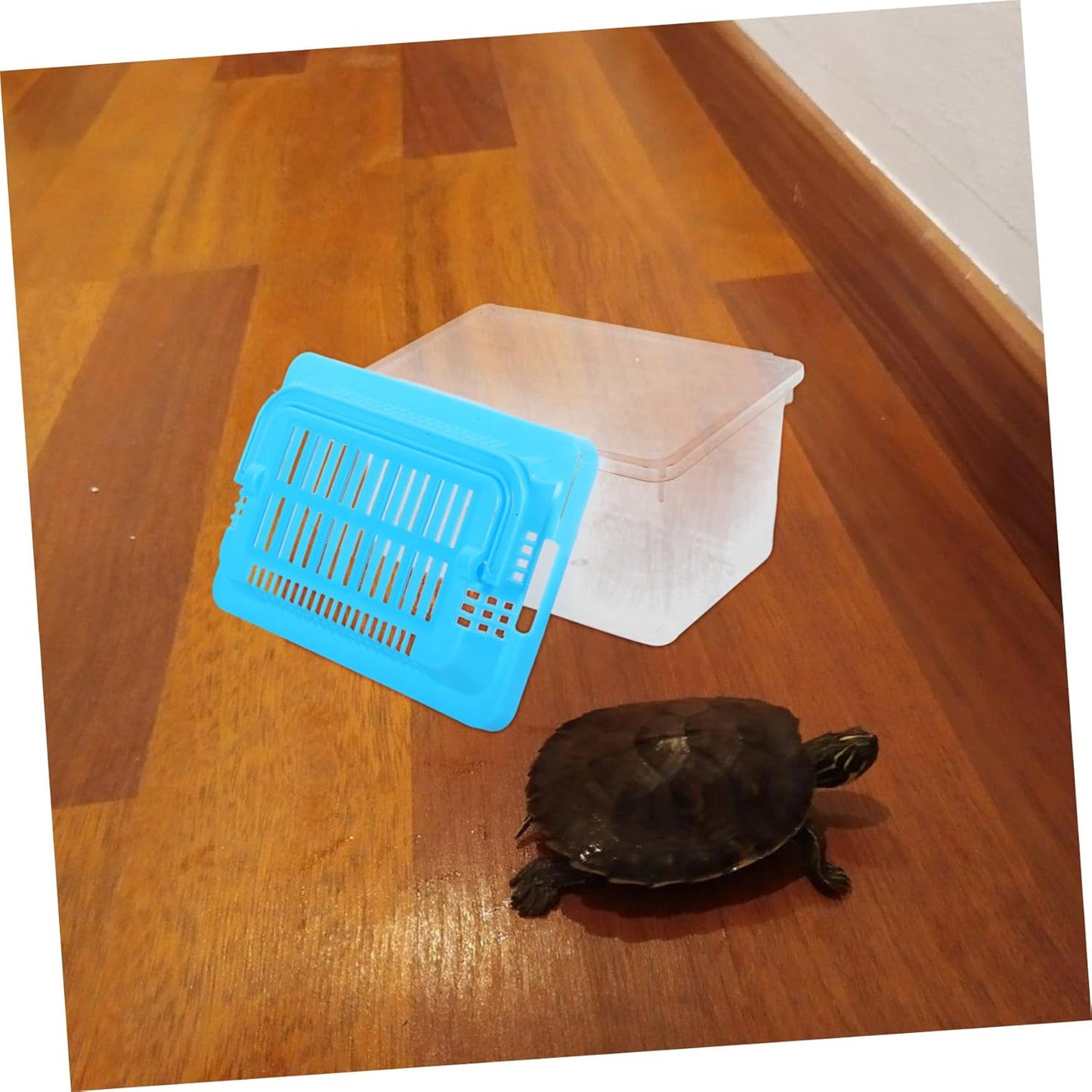 Transparent Plastic Turtle Fish Tank, Reptile Carrier, Feeding Tank, Glass Containers, Amphibia Container, Terrarium, Hamster Cages, Reptiles Commodity Mini