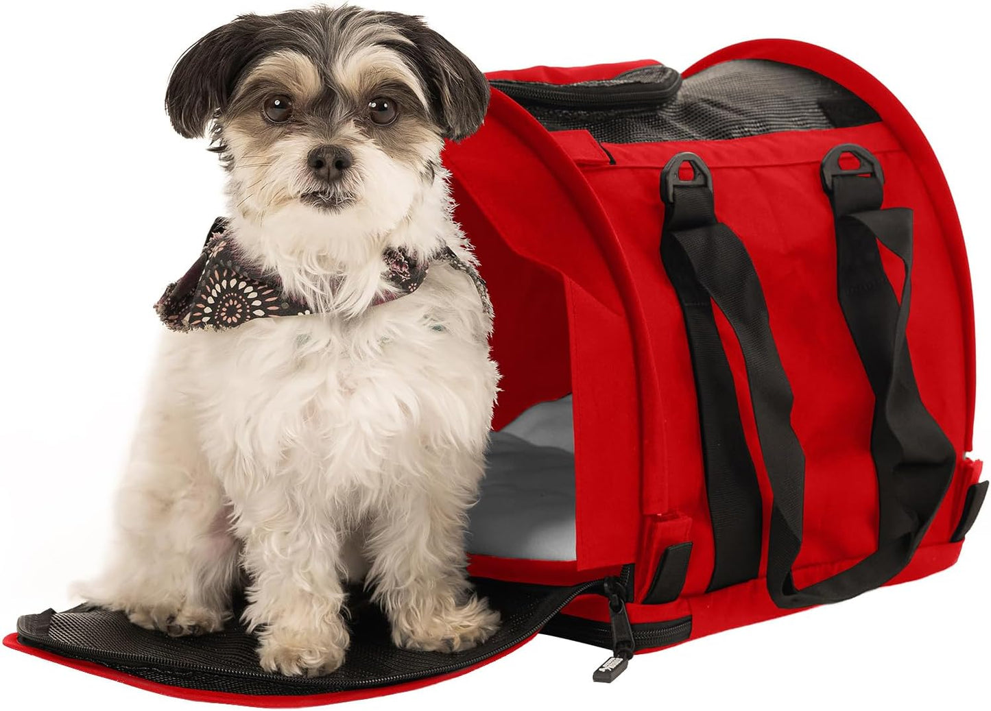 SturdiBag Pro 2.0 Pet Travel Carrier for Cats and Dogs | Soft Sided Pet Carrier Bag with Safety Clips and Seatbelt Straps for Airplane or Car Travel | Cube, Red