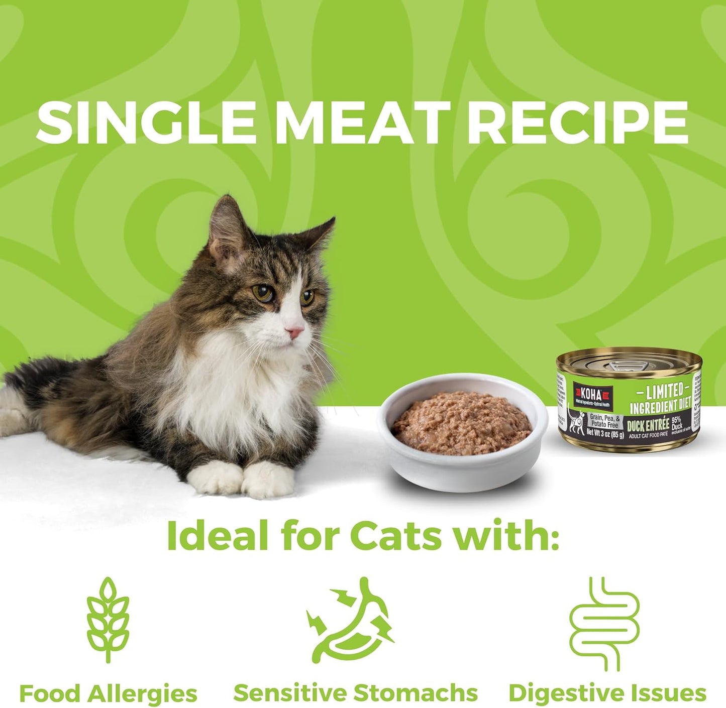 KOHA Limited Ingredient Diet Duck Pate for Cats - Single Meat Wet Cat Food for Sensitive Stomachs - Pate Cat Food with No Fillers - 3oz Pack of 24