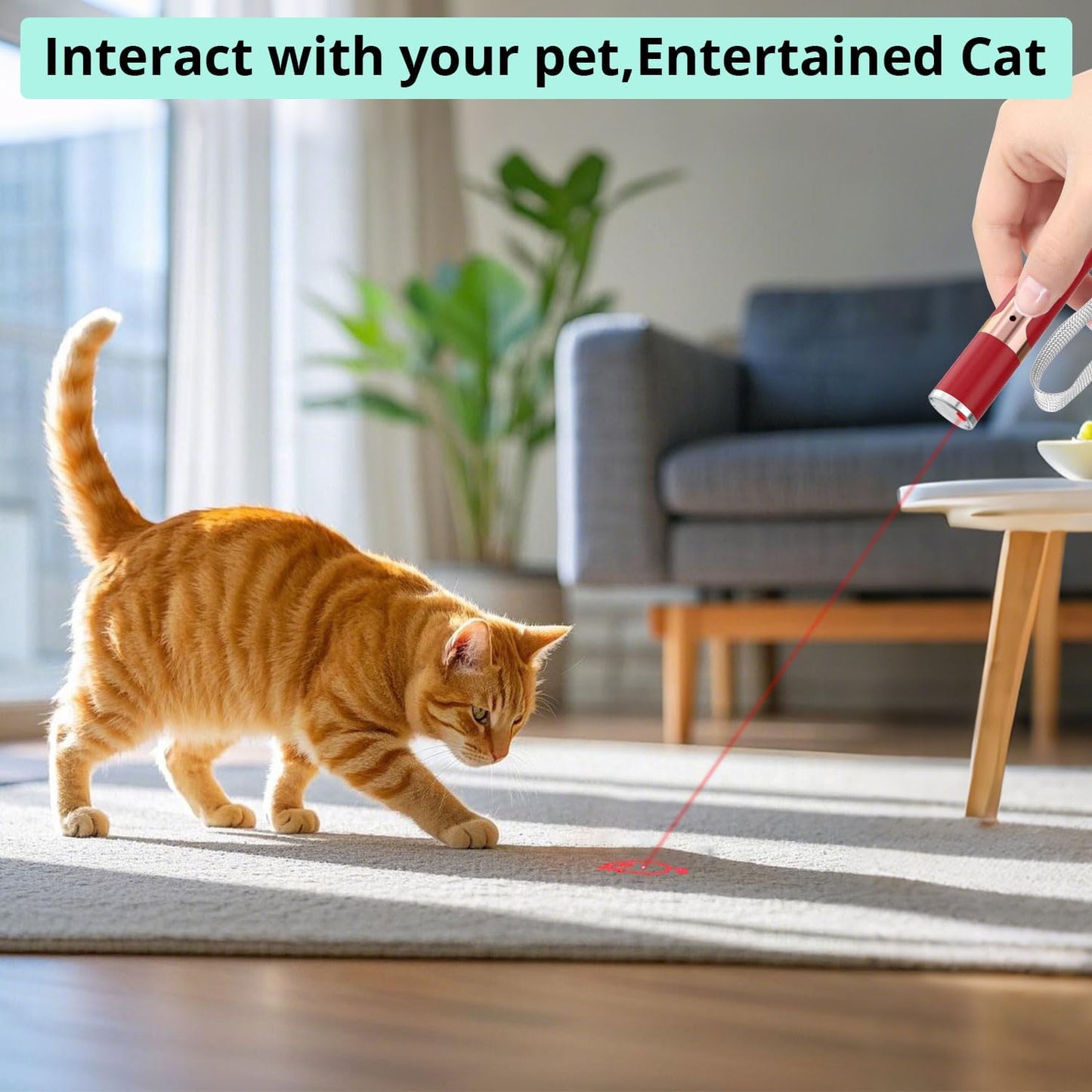 TBTeek Cat Toys for Indoor Cats, 2 Pieces, Rechargeable, 7 Adjustable Patterns, Interactive Kitten Pet Dog Chase Toy for Cats Fun Playing Exercise（Red）