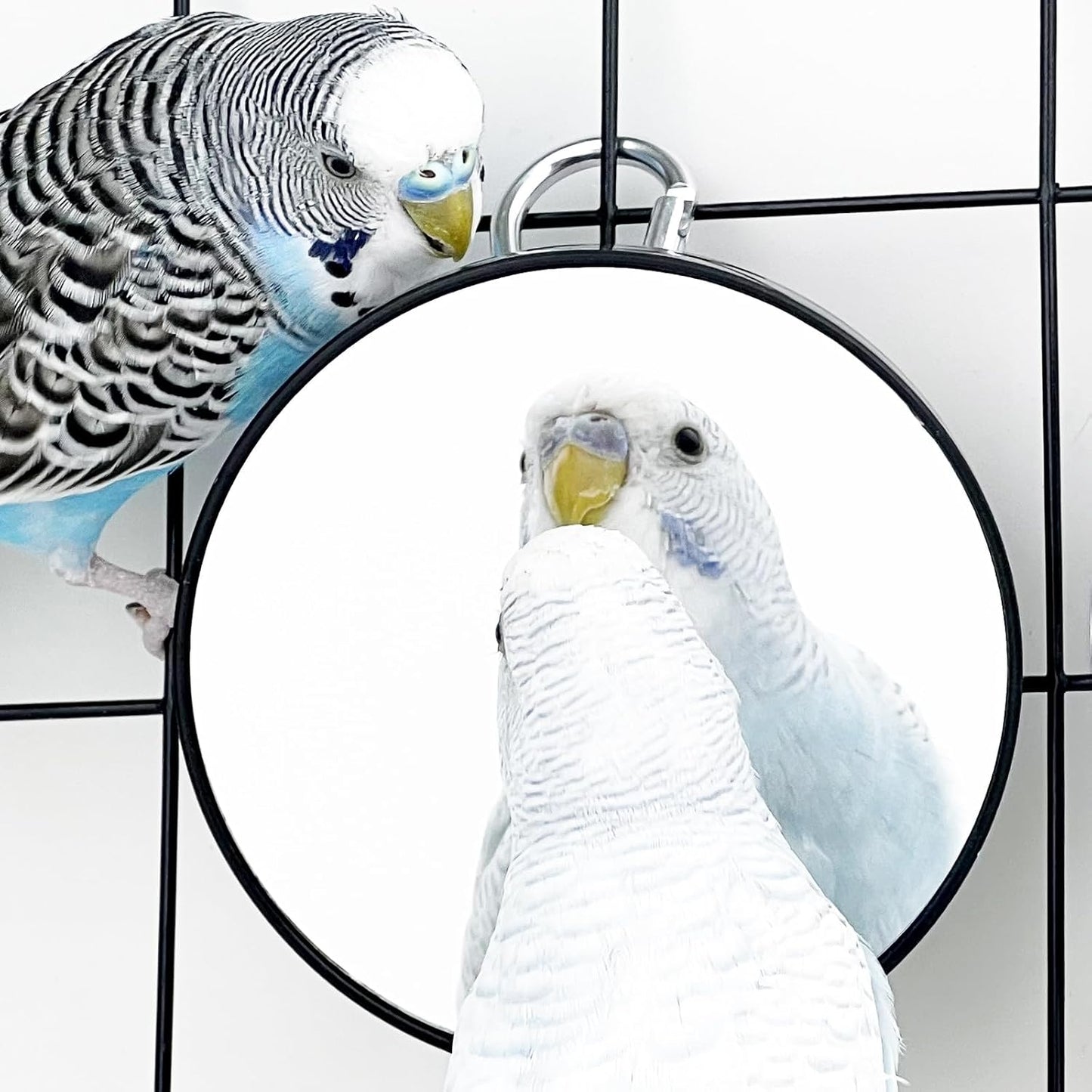 FlidRunest 2PCS Bird Mirror Toy for Cage, 10X Bird Parrot Interactive Playing Cage Toy with Hook, Parrot Toy Bird Cage Mirror for Cockatiel, Parakeets, Lovebirds, Finch, Canaries, Budgie