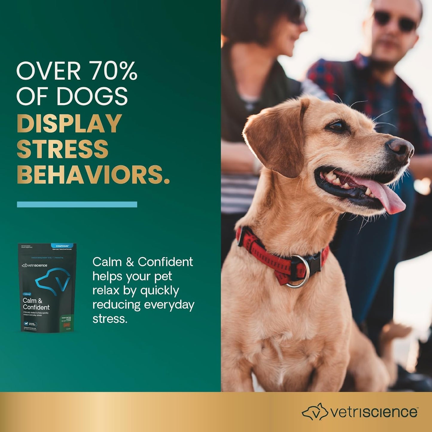 VetriScience Calm & Confident Chews, Composure Clinically Tested Calming and Anxiety Supplement for Dogs, Reduce Stress and Fear, for Thunderstorms, Fireworks and Travel, Peanut Butter, 120 Count