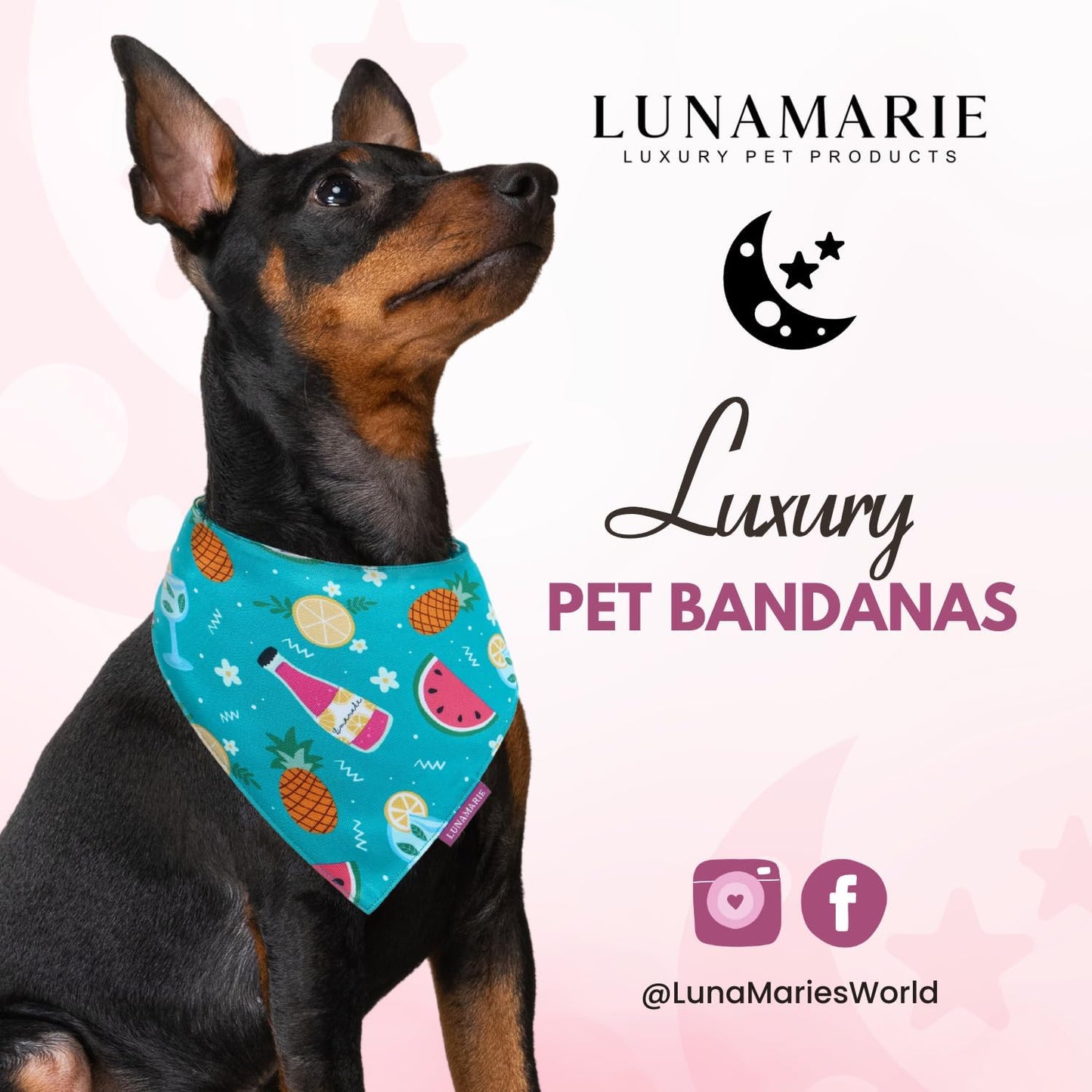 LunaMarie - Luxury Pet Birthday Bandanas -Premium & Silky Poly Fabric | 100% Handmade | Custom Shape Dual Layered (Sippin' Poolside, Large)