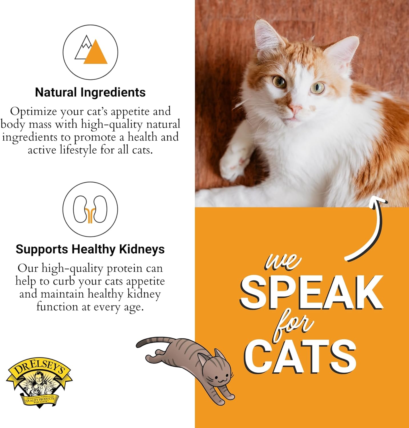 Dr. Elsey's cleanprotein Turkey Cat Kibble 2 lb. Bag