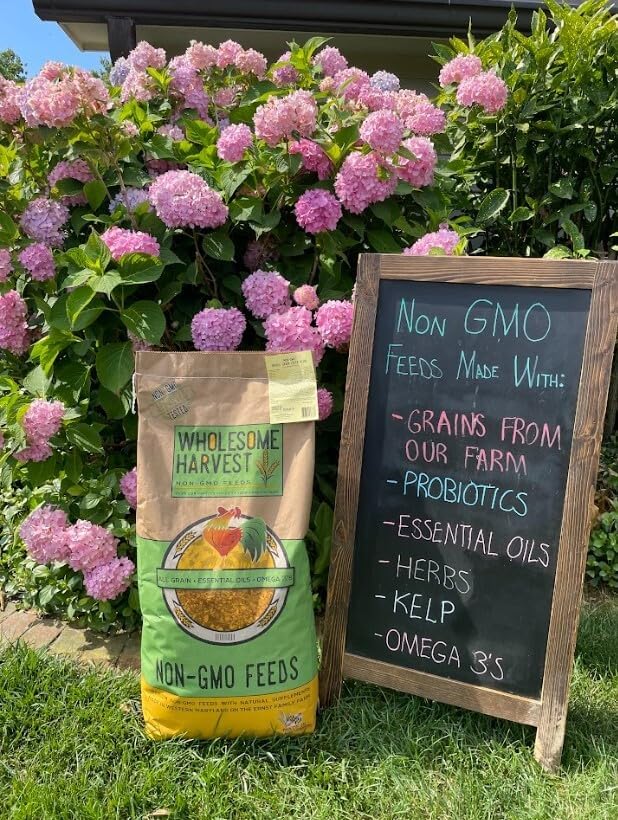 Non-GMO High-Protein Layer Blend 10 lb