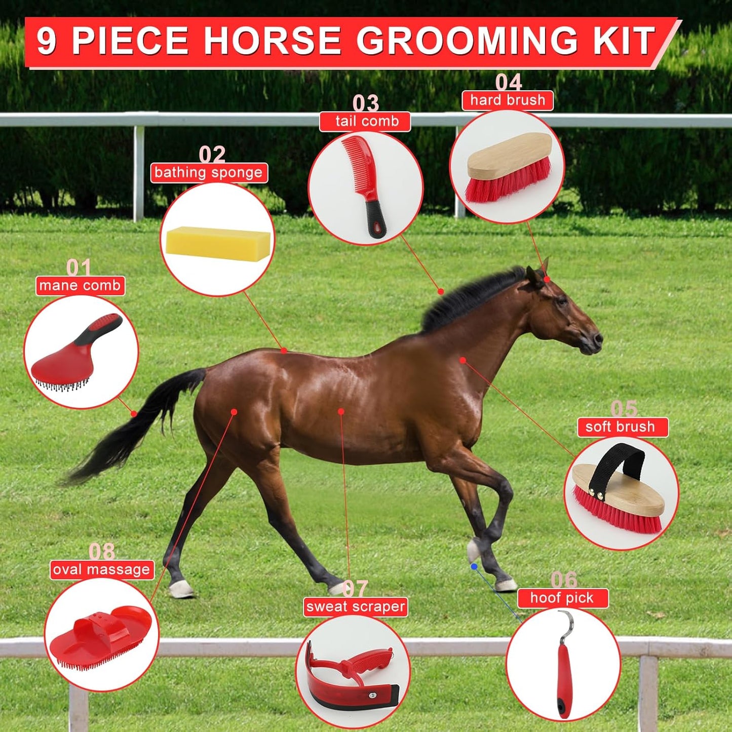 9 Pieces Grooming Kit with Tote Bag - Brush Set, Sweat Scraper, Sponge, Hoof Pick, Curry Comb for Horse Riders and Beginners (Red)