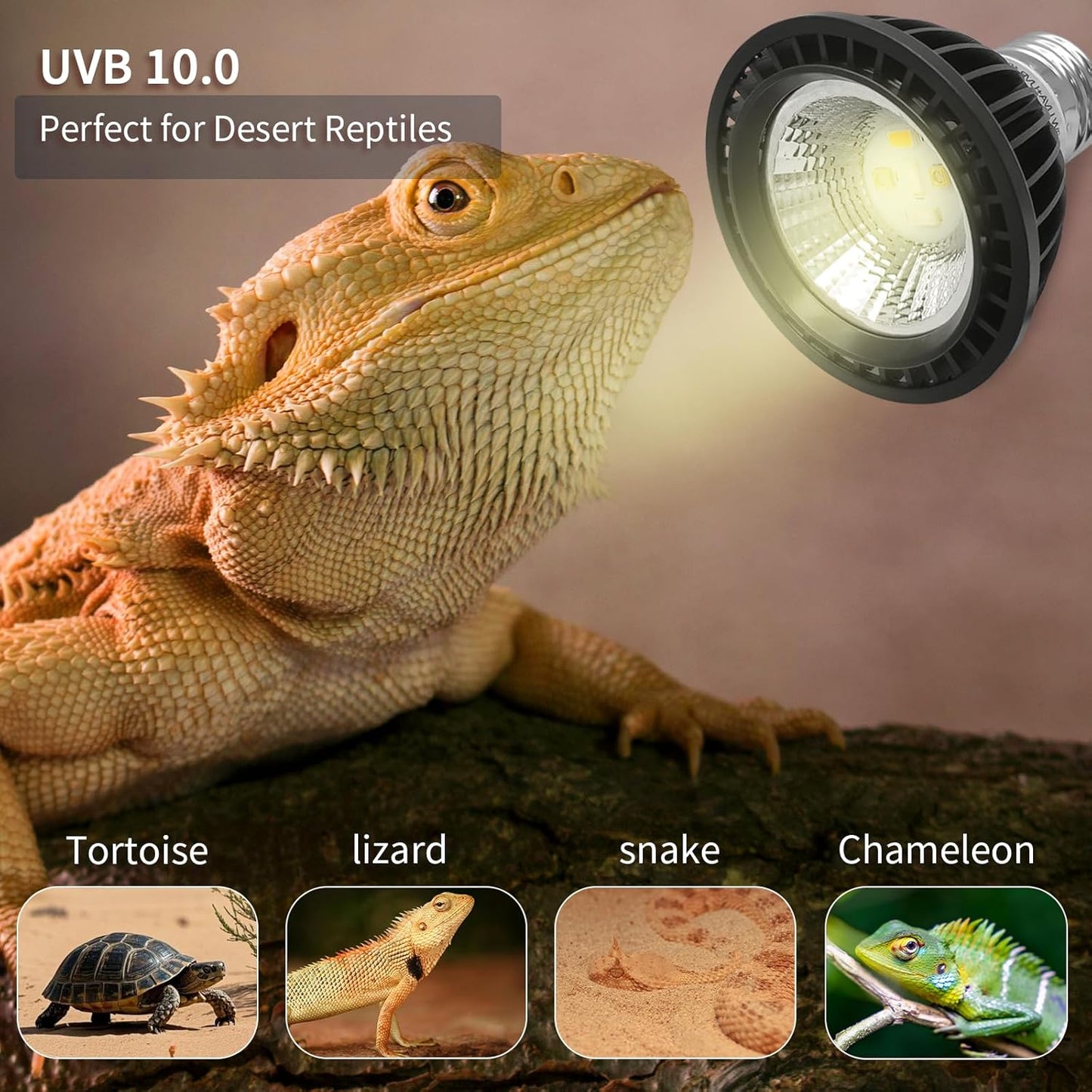 UVB Light Bulb for Reptiles, LED 3W 10.0 UVA UVB Heat Lamp Bulbs Ideal for Rainforest Reptiles, Bearded Dragons Lizard Turtle Tortoise Iguanas Chameleons Snake (2 Pack)